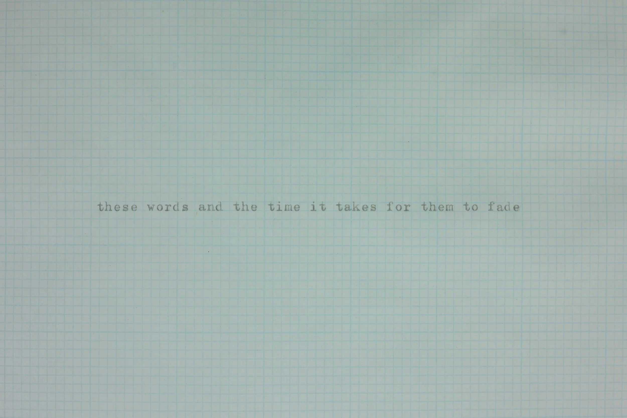 1F9A3515_these words and the time it takes for them fade_detail.jpg