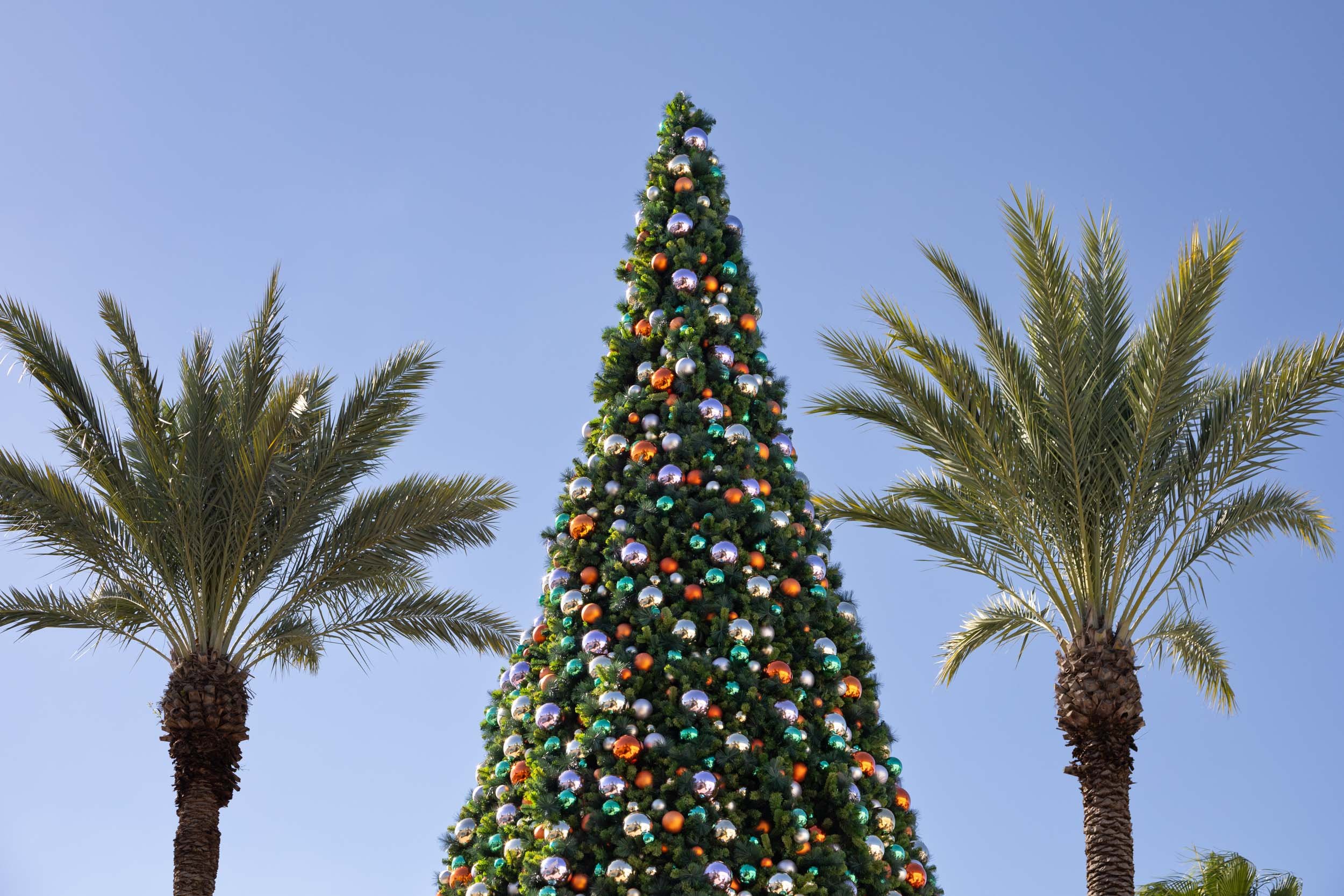 09_Downtown Decorations_The Avenue Viera.jpg
