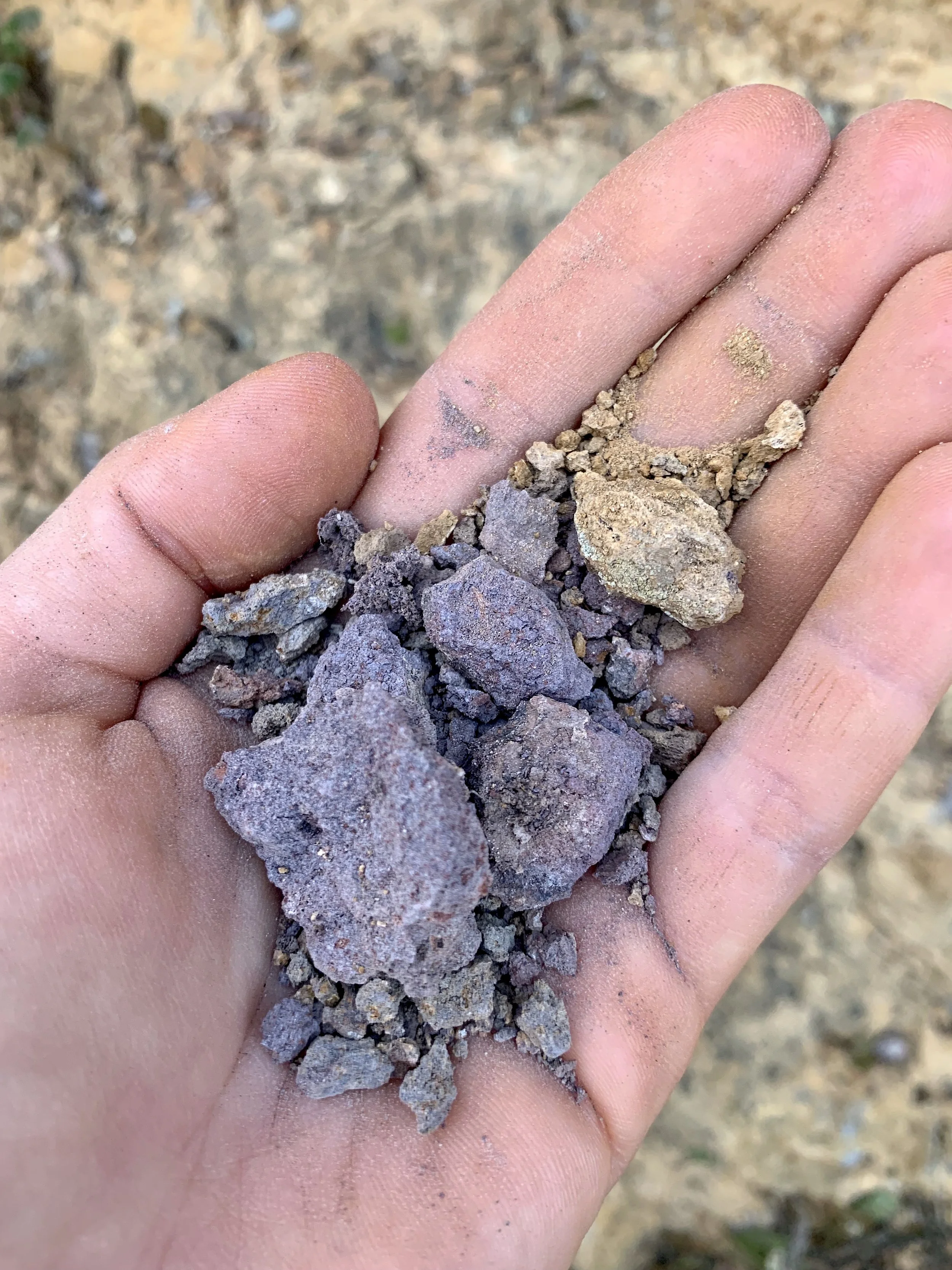 NO.3/ COLOURS OF THE EARTH