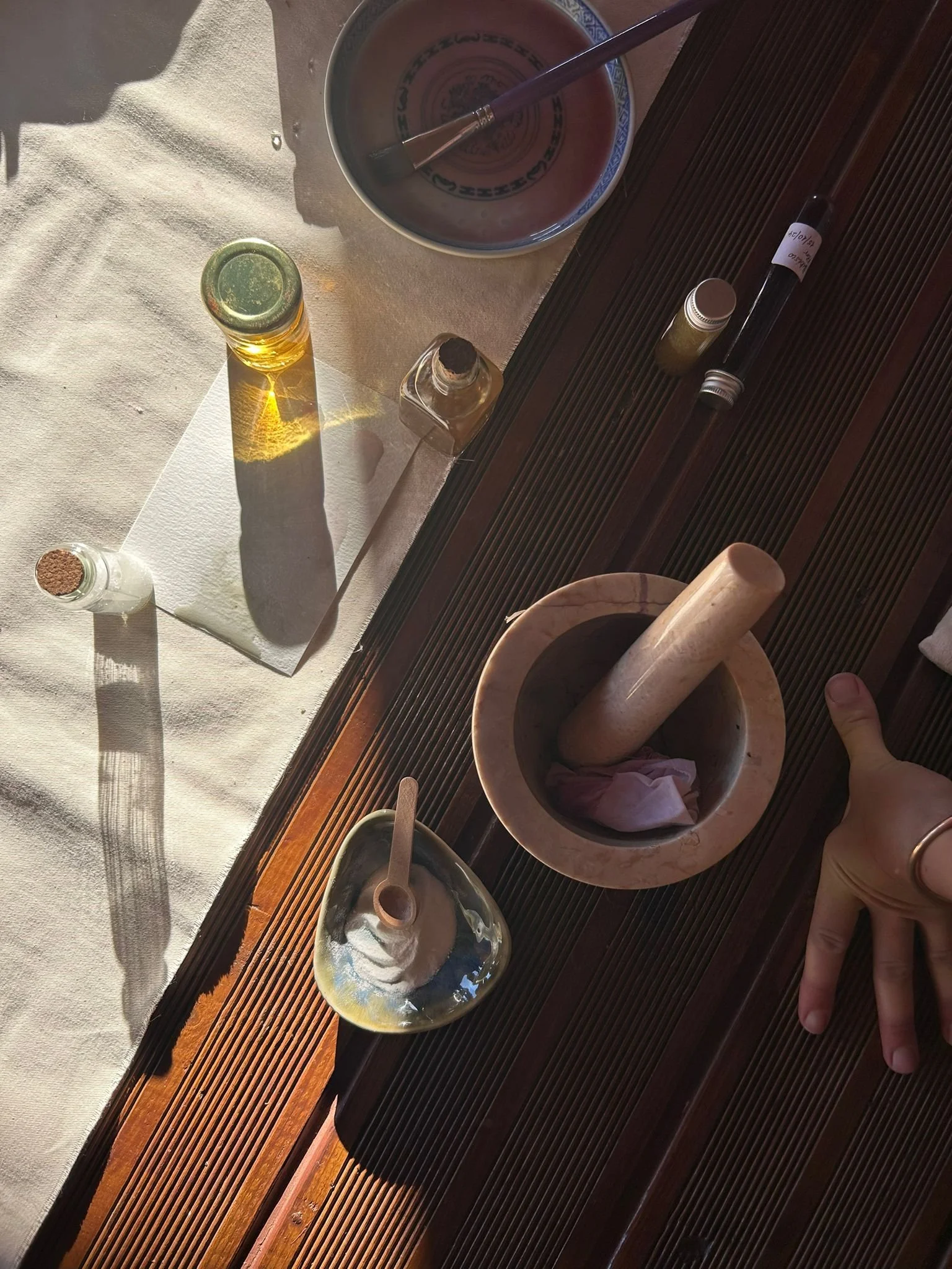 Tools and materials used for plant painting at one of my workshops