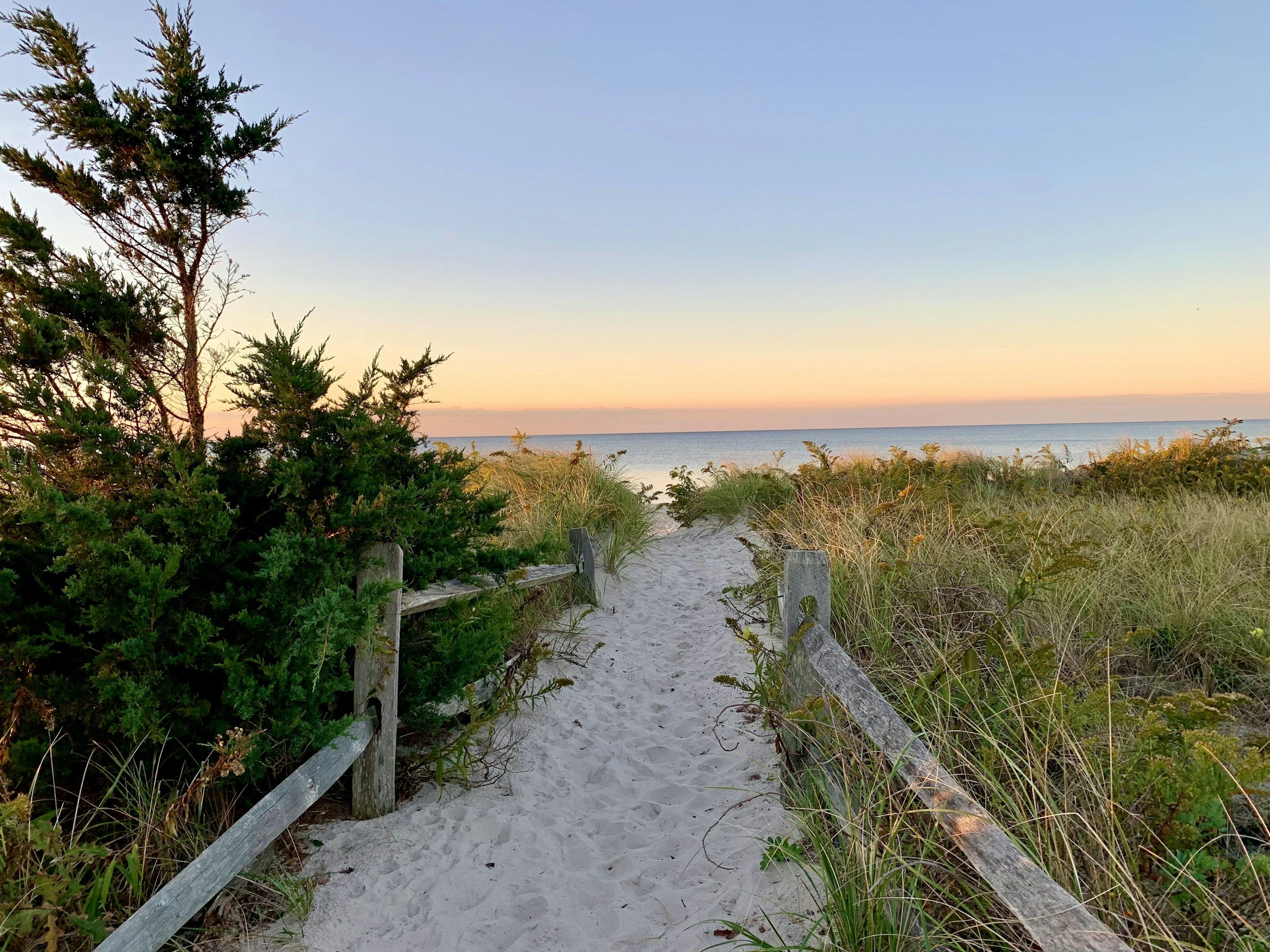 A sandy beach access path through grassy dunes with green shrubs and a wooden railing, leading to the ocean under a pastel sky at sunset.
