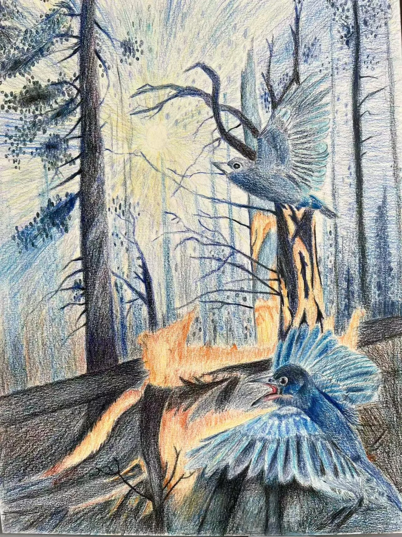 Colorful drawing of a fish in an un