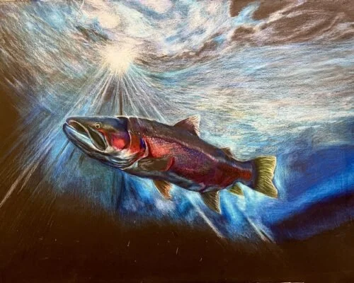 Painted image of a bass fish swimming underwater with sunlight overhead.