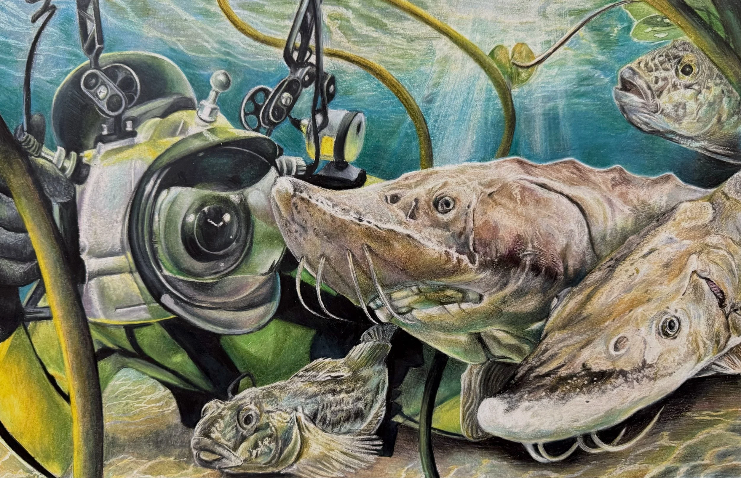 Fishermen's equipment with fish underwater, featuring lures and fishing poles with several fish caught on the lines.