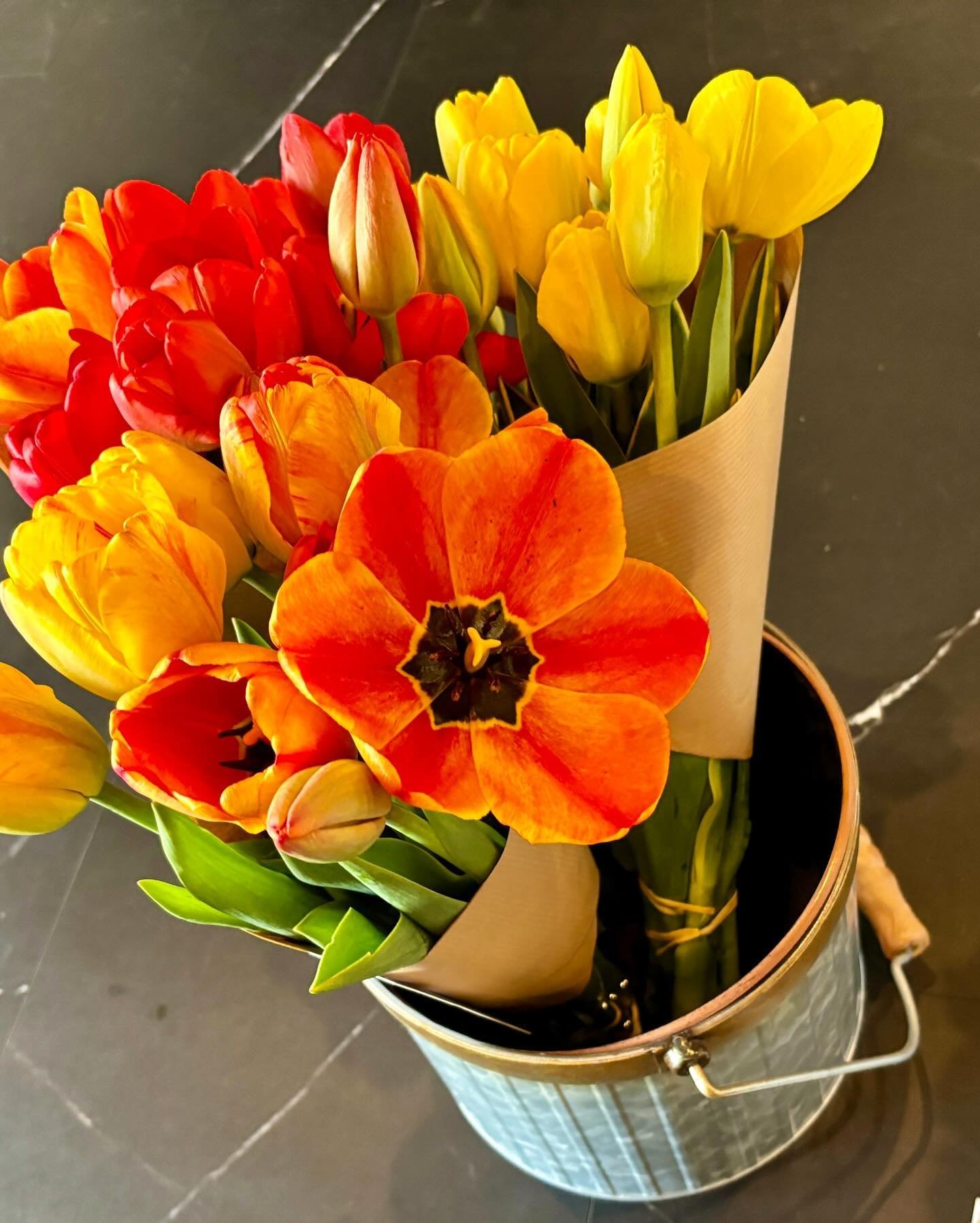 It's spring at @murphys.bistro! Come and get your own bunch of spring tulips fresh from the patch.