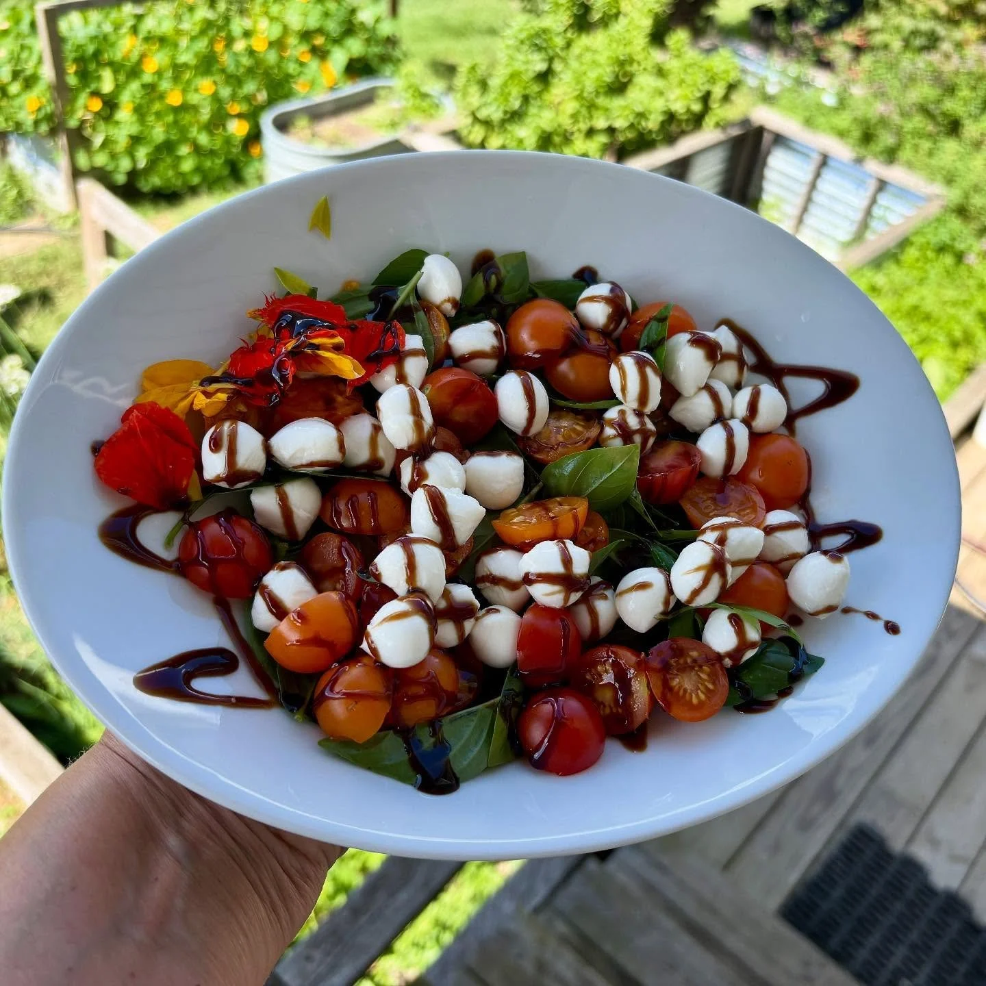 Don't forget to make a fresh Caprese Salad while the basil and tomatoes are fresh! 
#gwensgreens #freshproduce