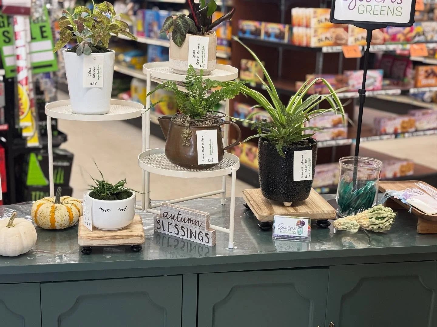 🪴🪻🌸
New look at HUTCH'S FOOD CENTER today! Gwen's Greens is a great place to pick up a gift! 
#goodnessandbeauty