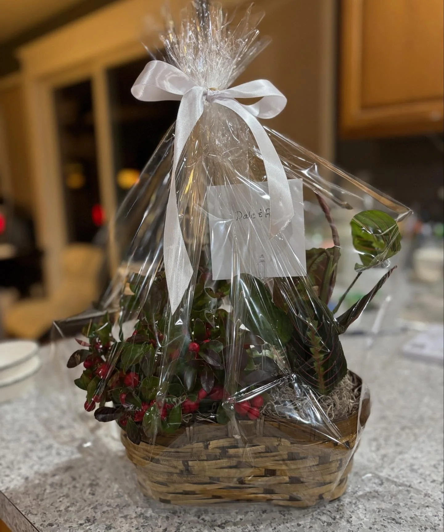 Hello friends! I am putting together gift baskets and plant arrangements, potted plant gifts, and mixed bouquets for your holiday needs. Special orders are welcomed! Come and see what's at HUTCH'S FOOD CENTER. #gwensgreens #hutchsfoodcenter