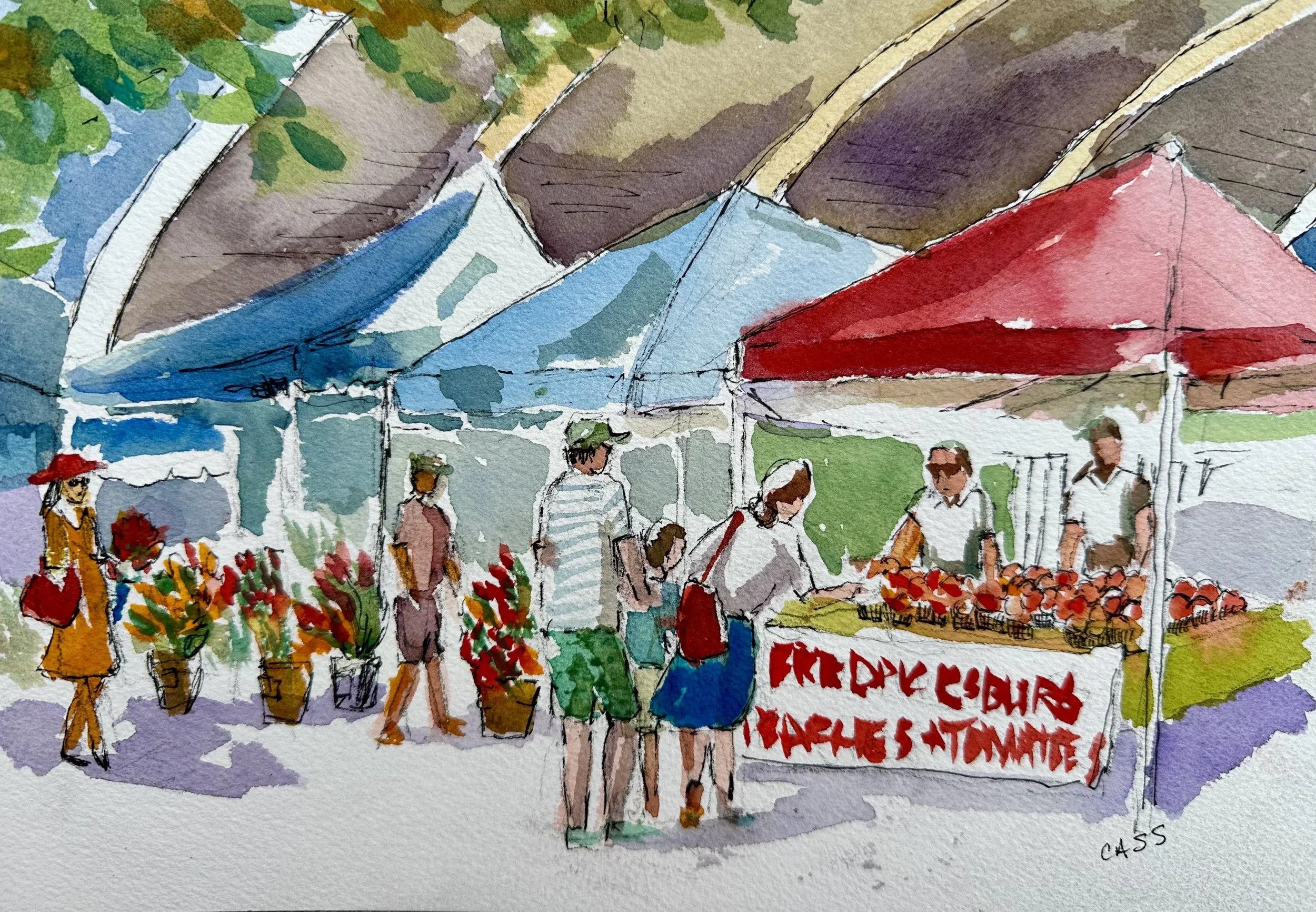 MNA at Mueller Farmers Market