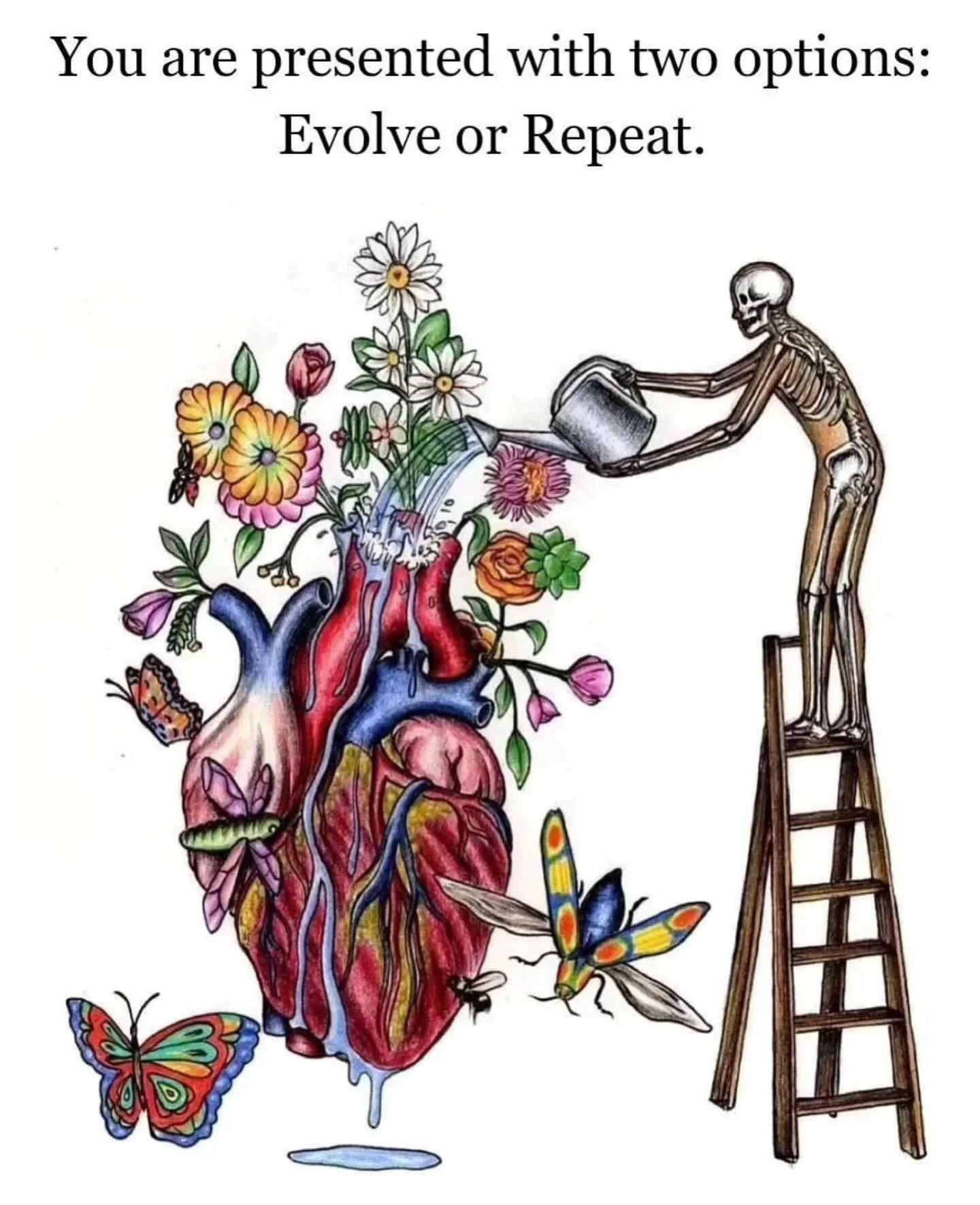 Shared wisdom discovered to assist you on your path.

You are presented with 2 options in life, evolve or repeat your old patterns.

And gut feelings are truly your guardian angels - you - pointing yourself back to the highest version of you. 

That 
