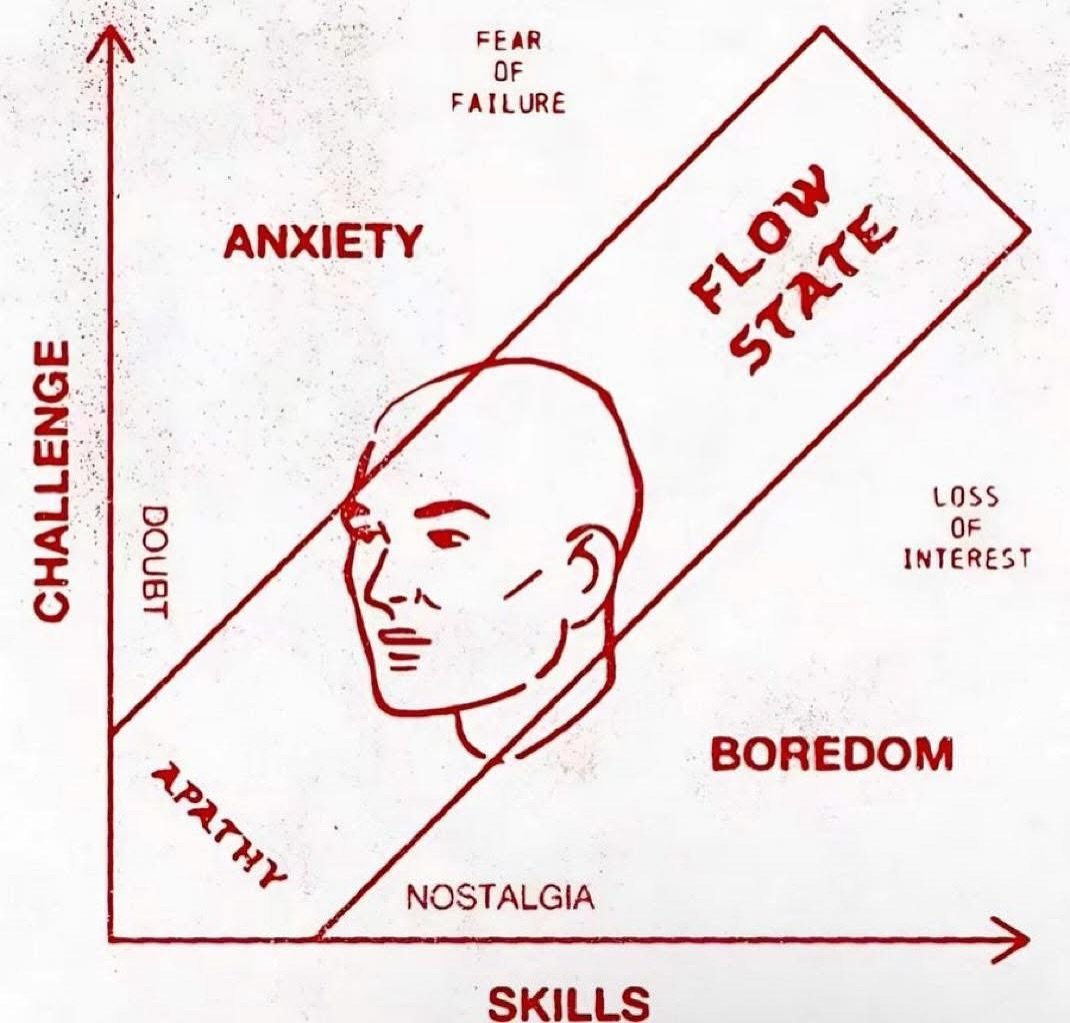 Flow state of mihalyi cs&iacute;kszentmih&aacute;lyi . OG creativity researcher.