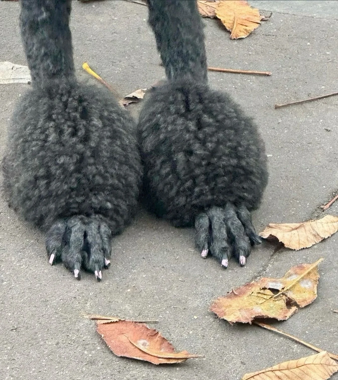 Yep. Das vibe. #dasuniverse