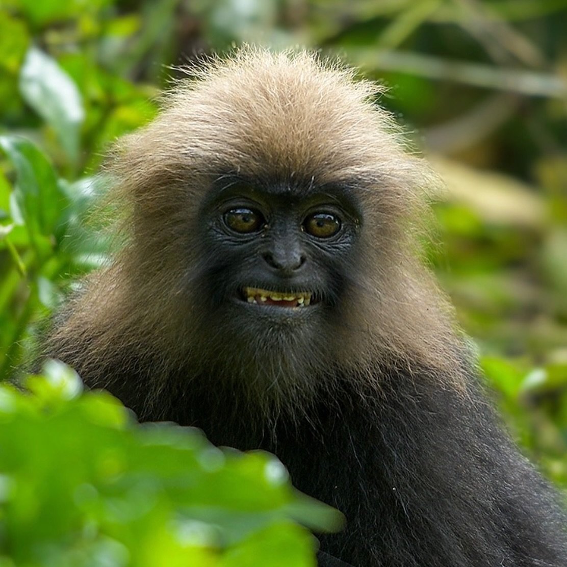 Sunday vibe. #dasuniverse