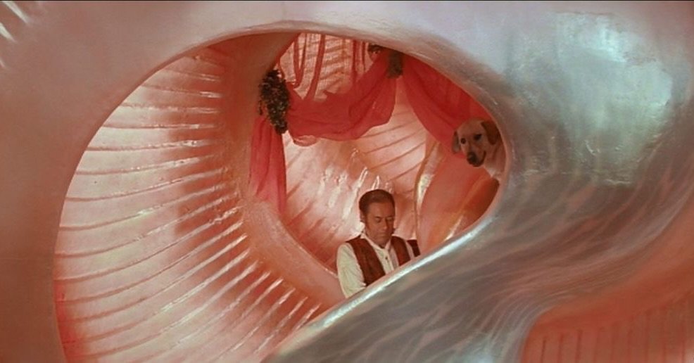 Saturday. #dasuniverse