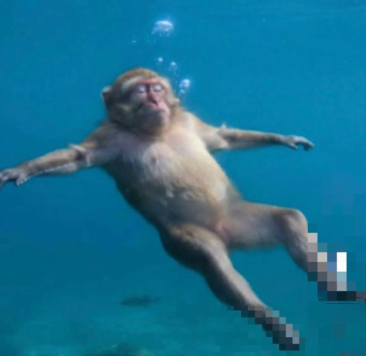 Sundaze #dasuniverse #sundays #vibe #mood