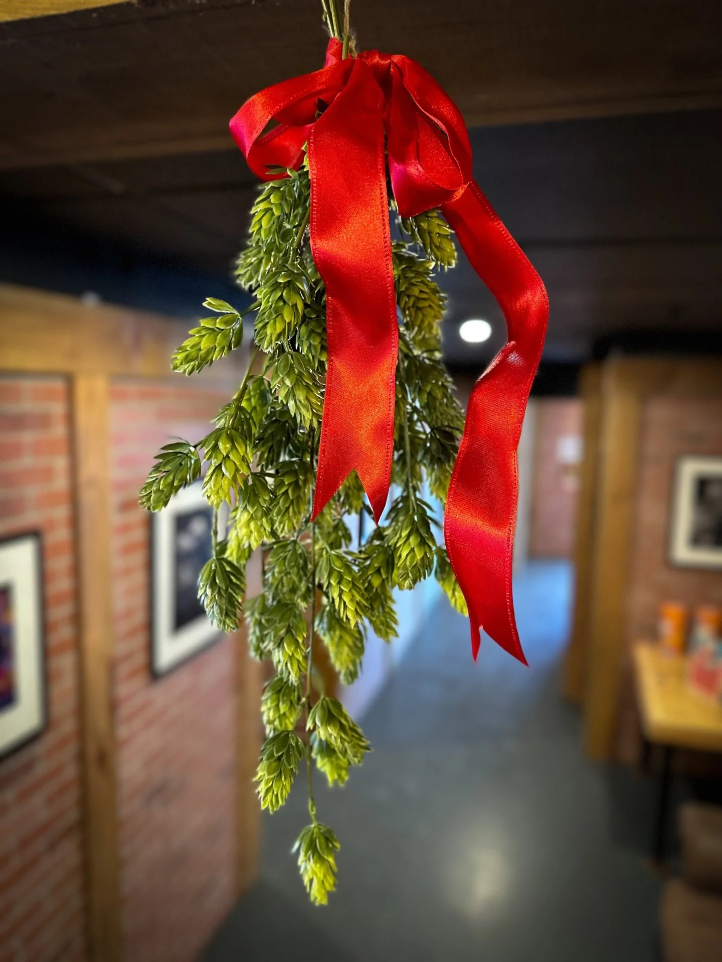 The hopstletoe is up, it&rsquo;s officially Christmas! Make out under the hopstletoe tonight! Take pics! Tag us!