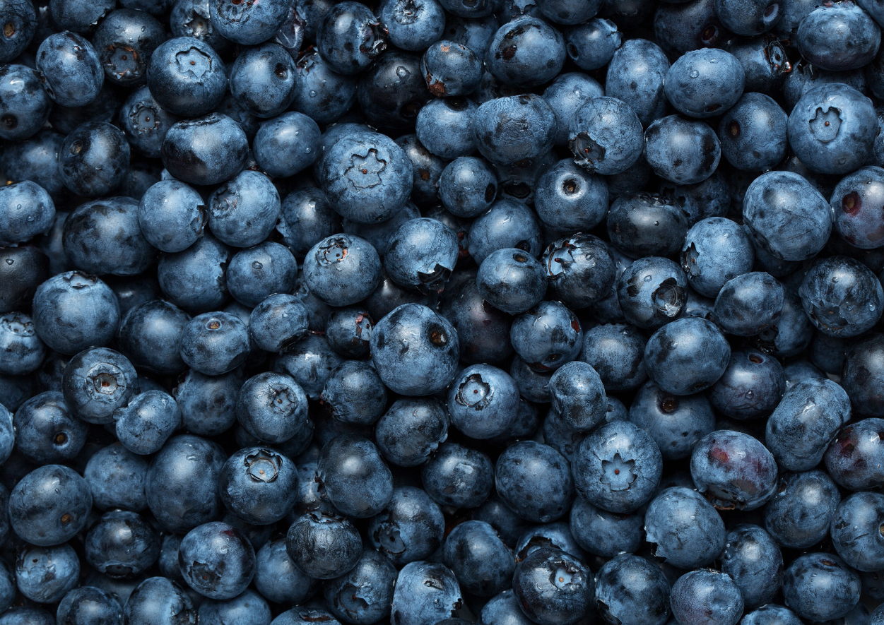 Screenshot 2026-01-29 at 11.48.08 AM.png