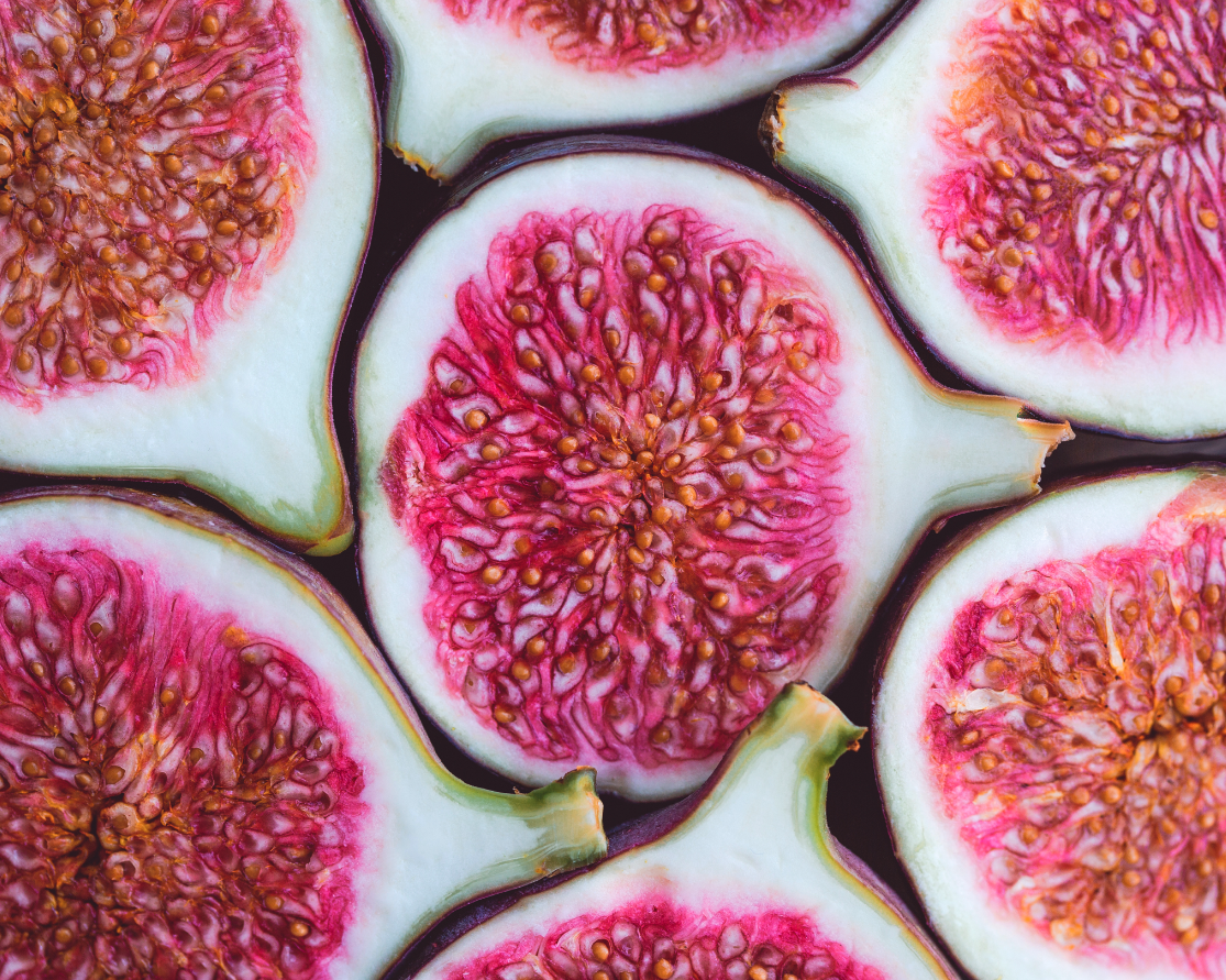 Screenshot 2026-01-29 at 11.49.37 AM.png