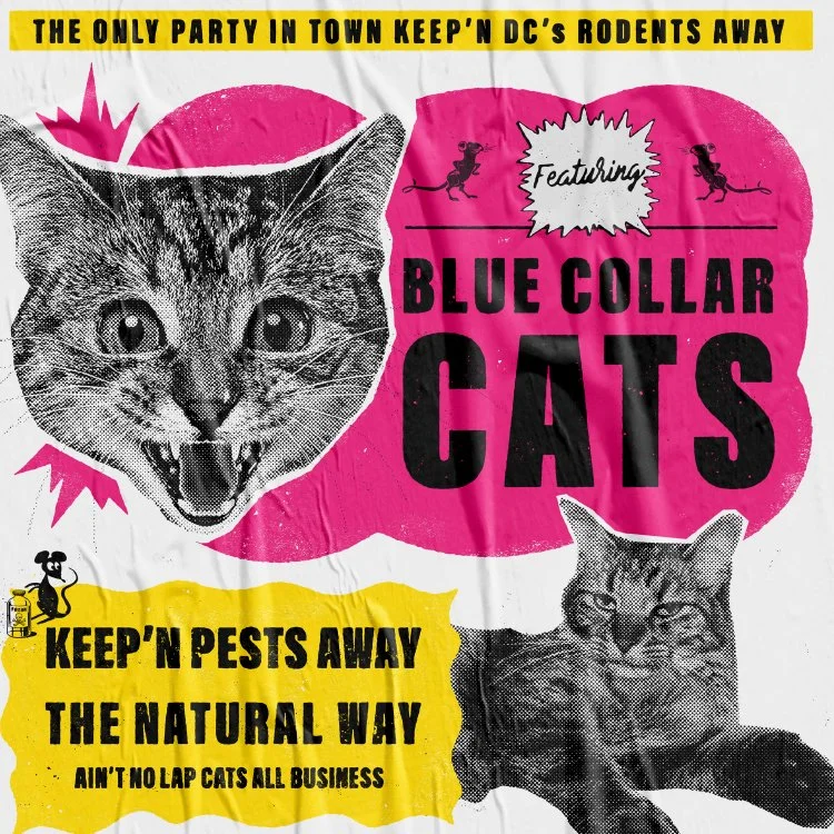 Blue Collar Cats