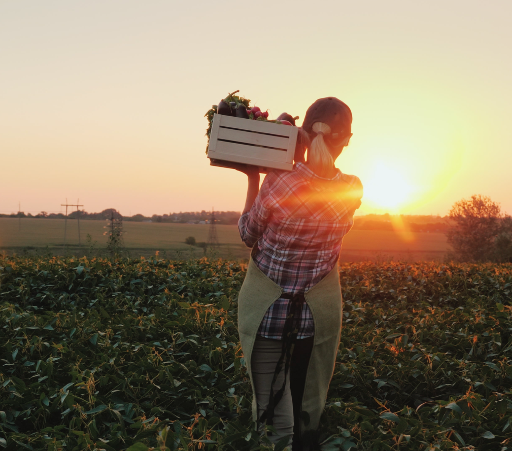 Screenshot 2026-01-29 at 11.48.57 AM.png