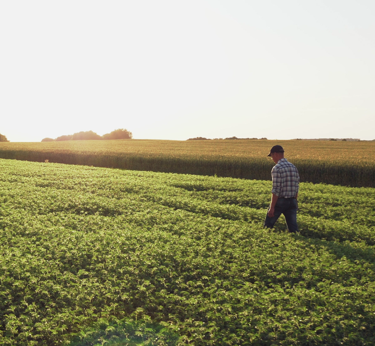 Screenshot 2026-01-29 at 11.49.14 AM.png