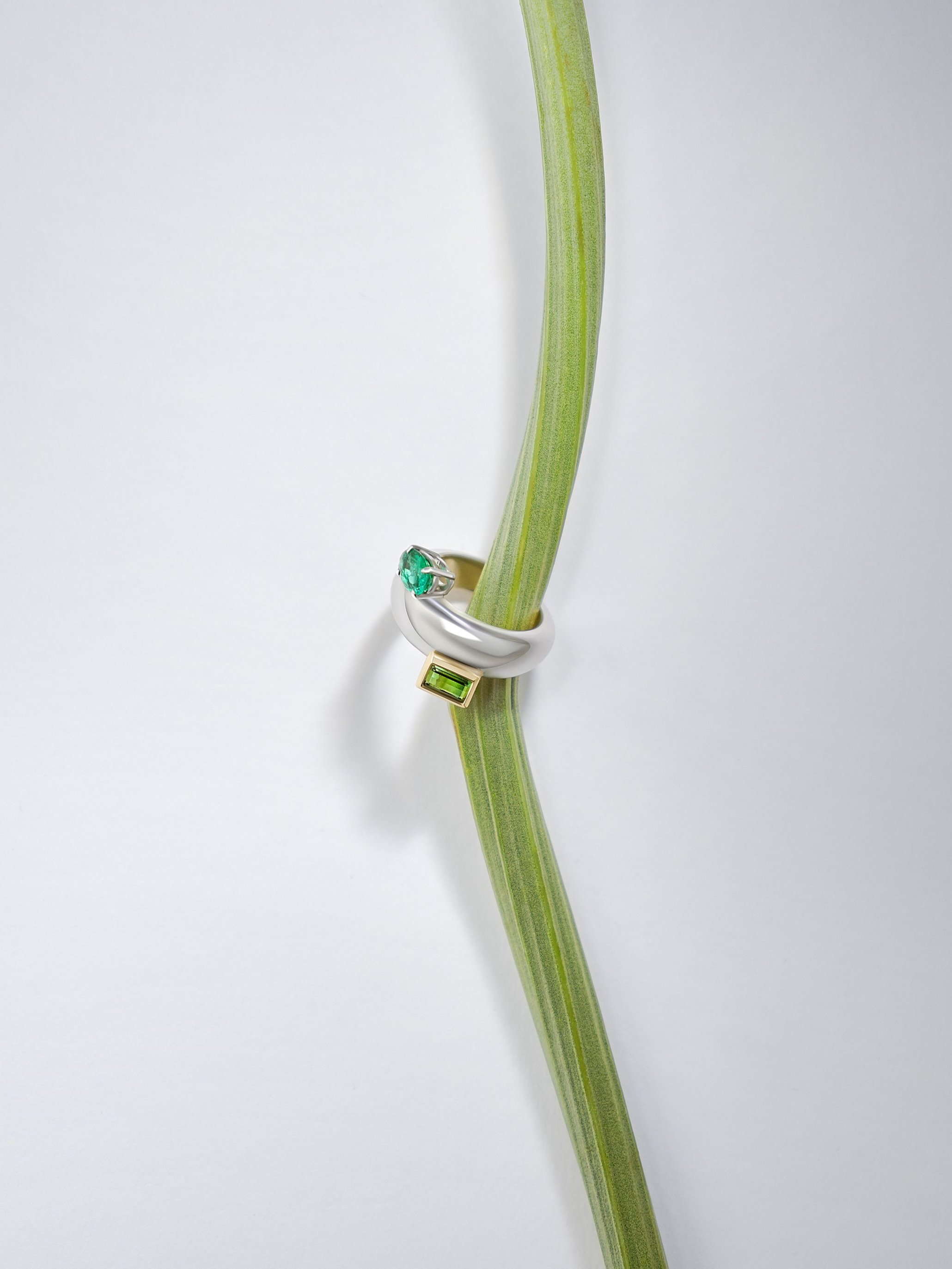 The Encounter Ring