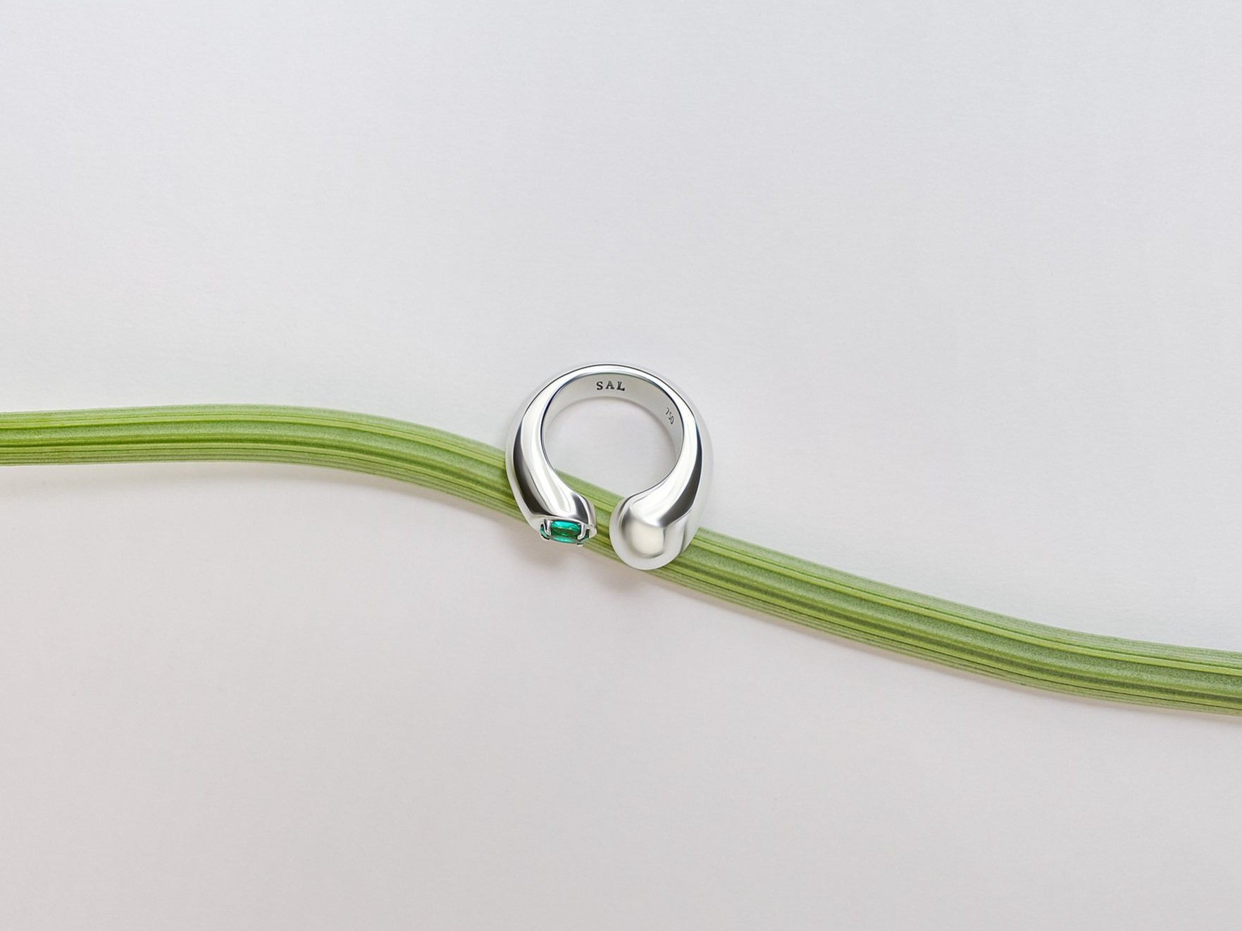 The Statement Ring
