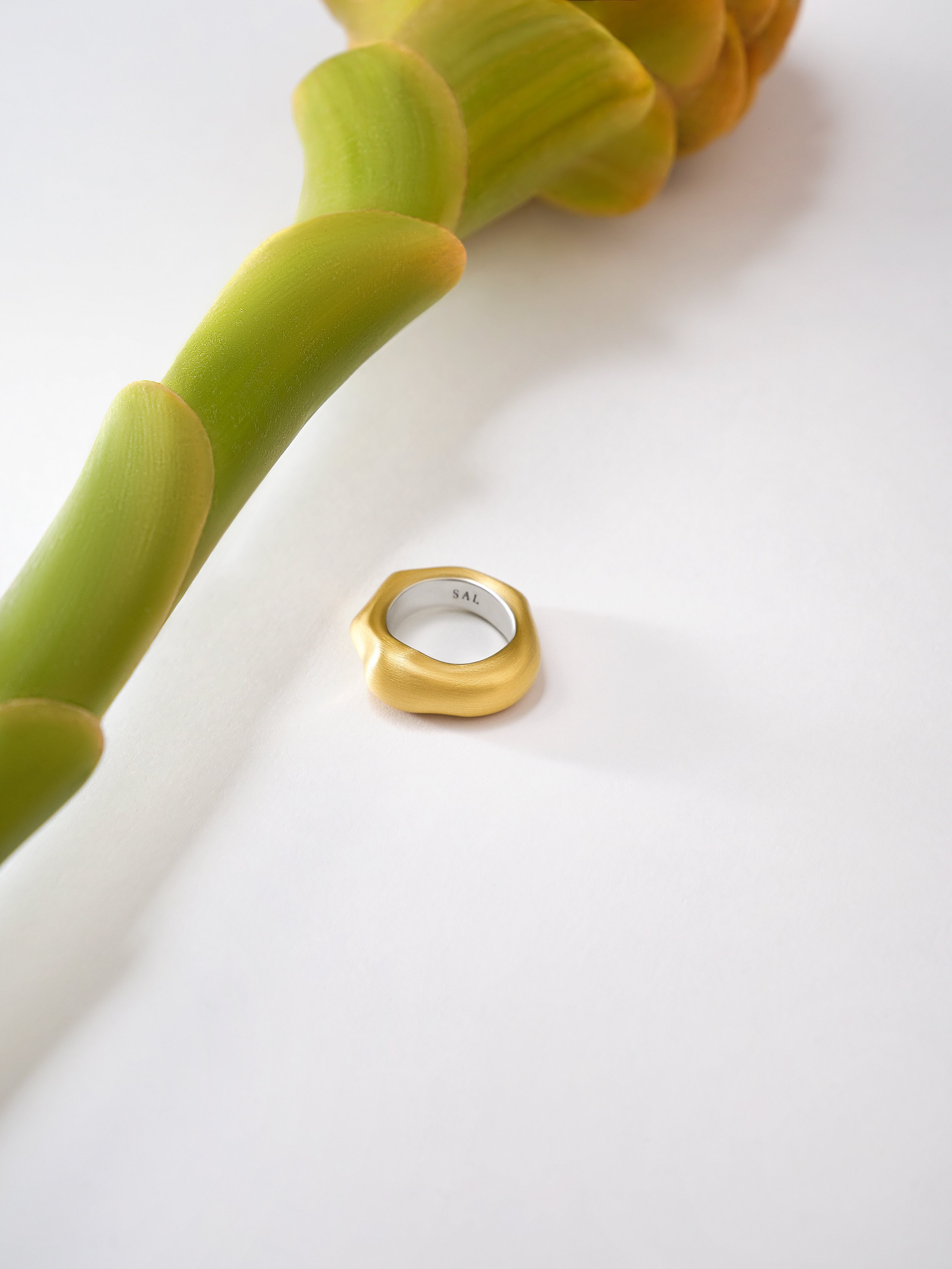 The Mother Ring