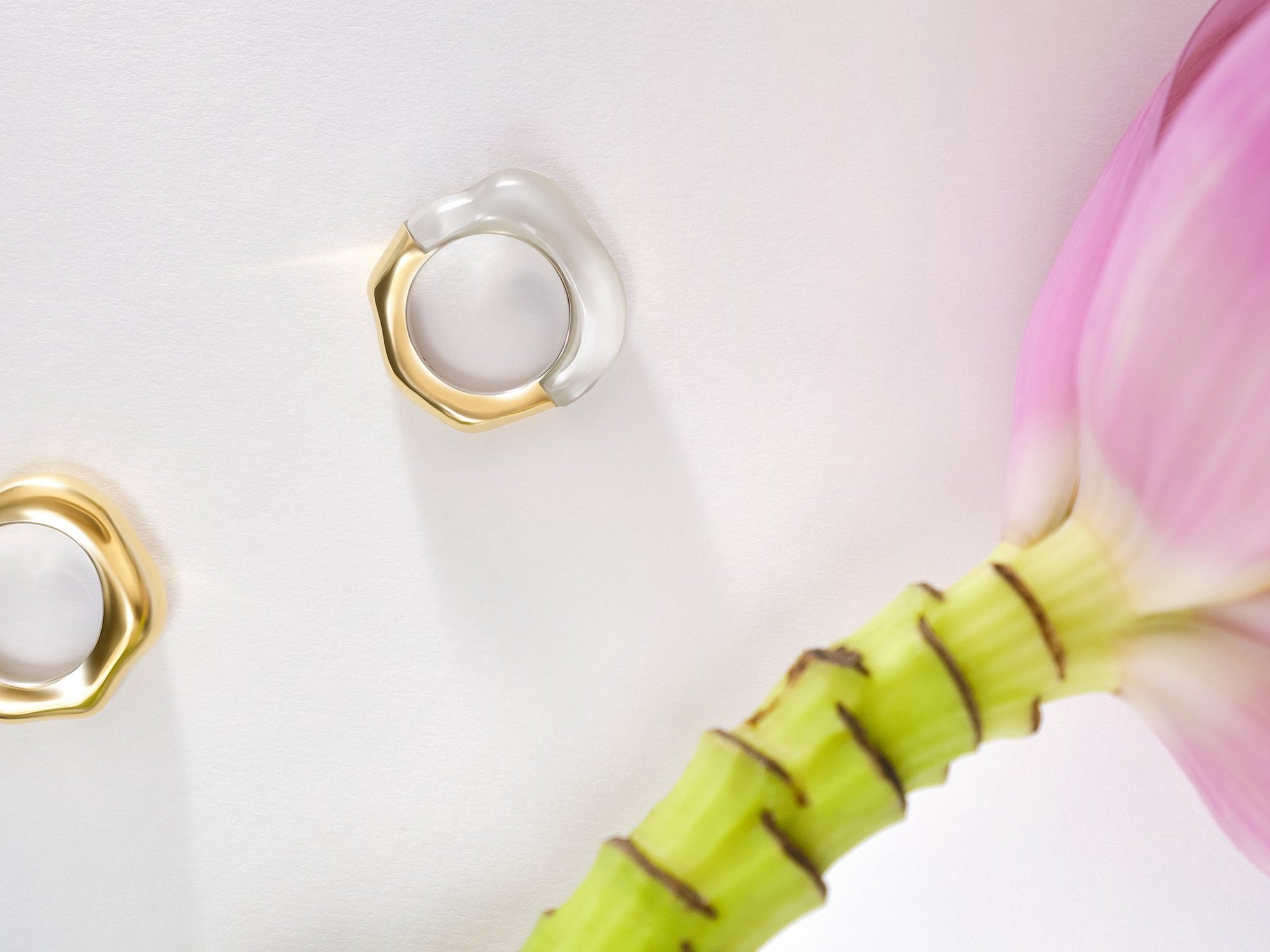 The+Mother+%26+The+Sculpted+Ring+Day+in+Crystal.jpg