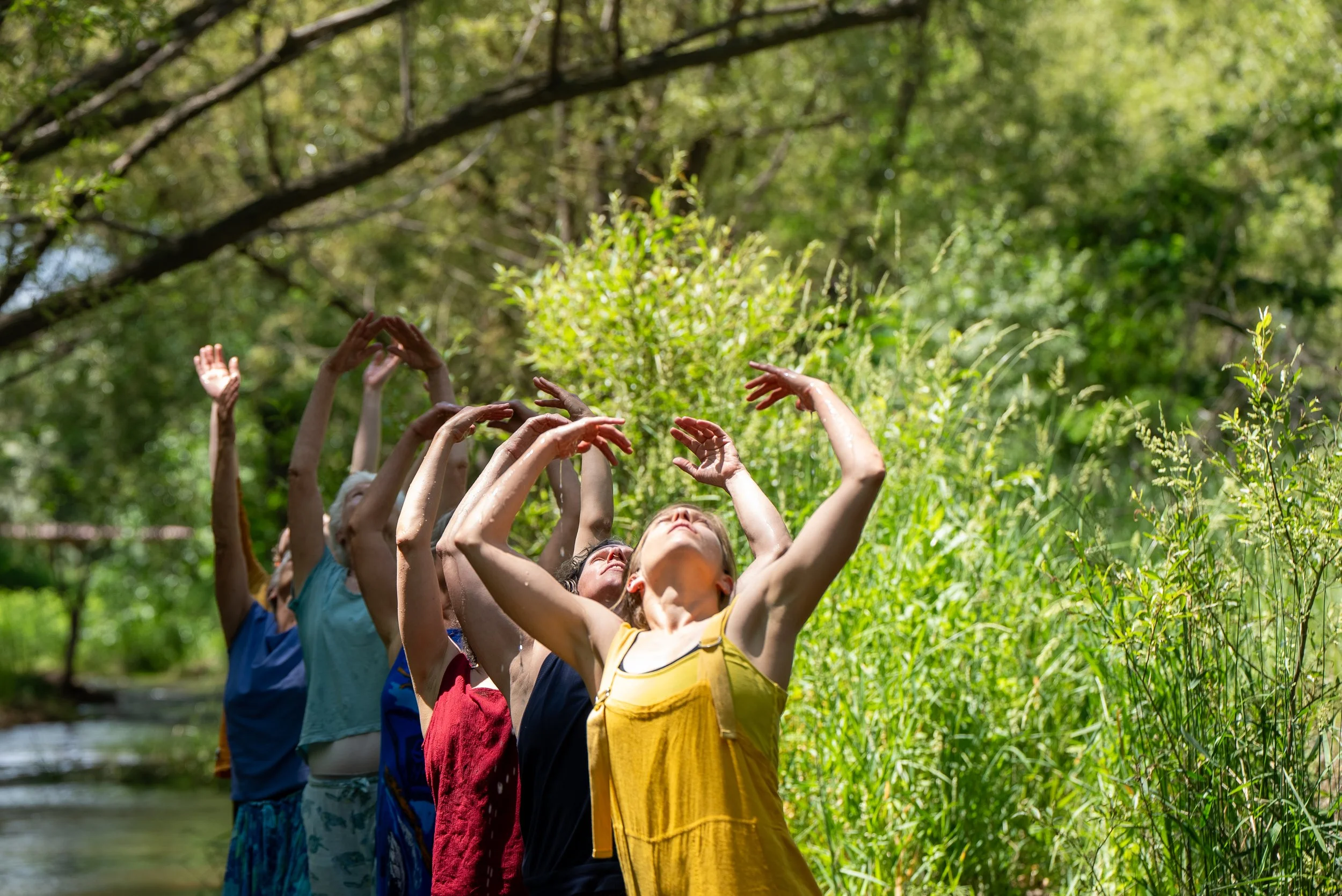 Water Dances Performance