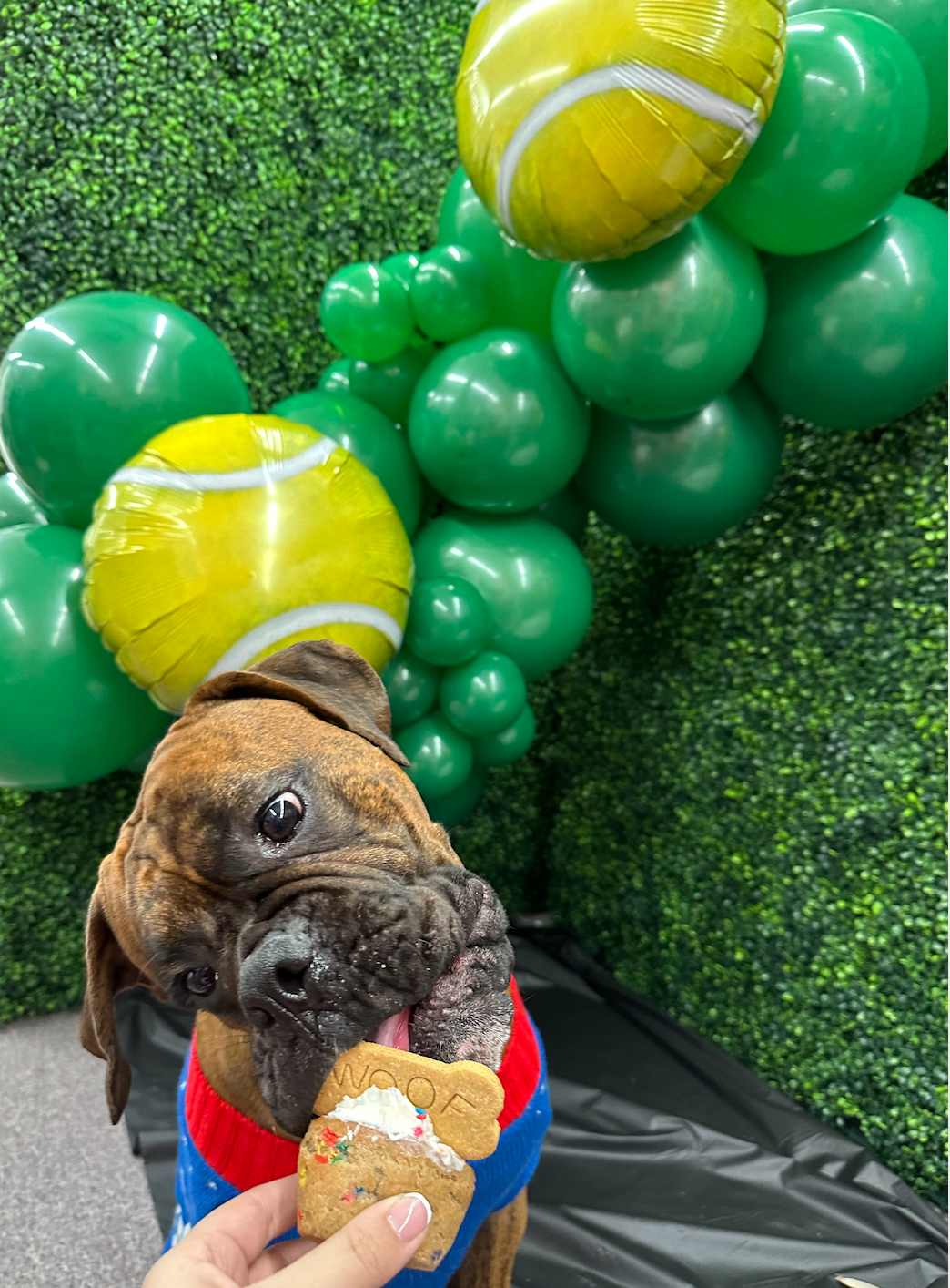 Screen Shot 2024-03-09 at 12.31.29 PM.png