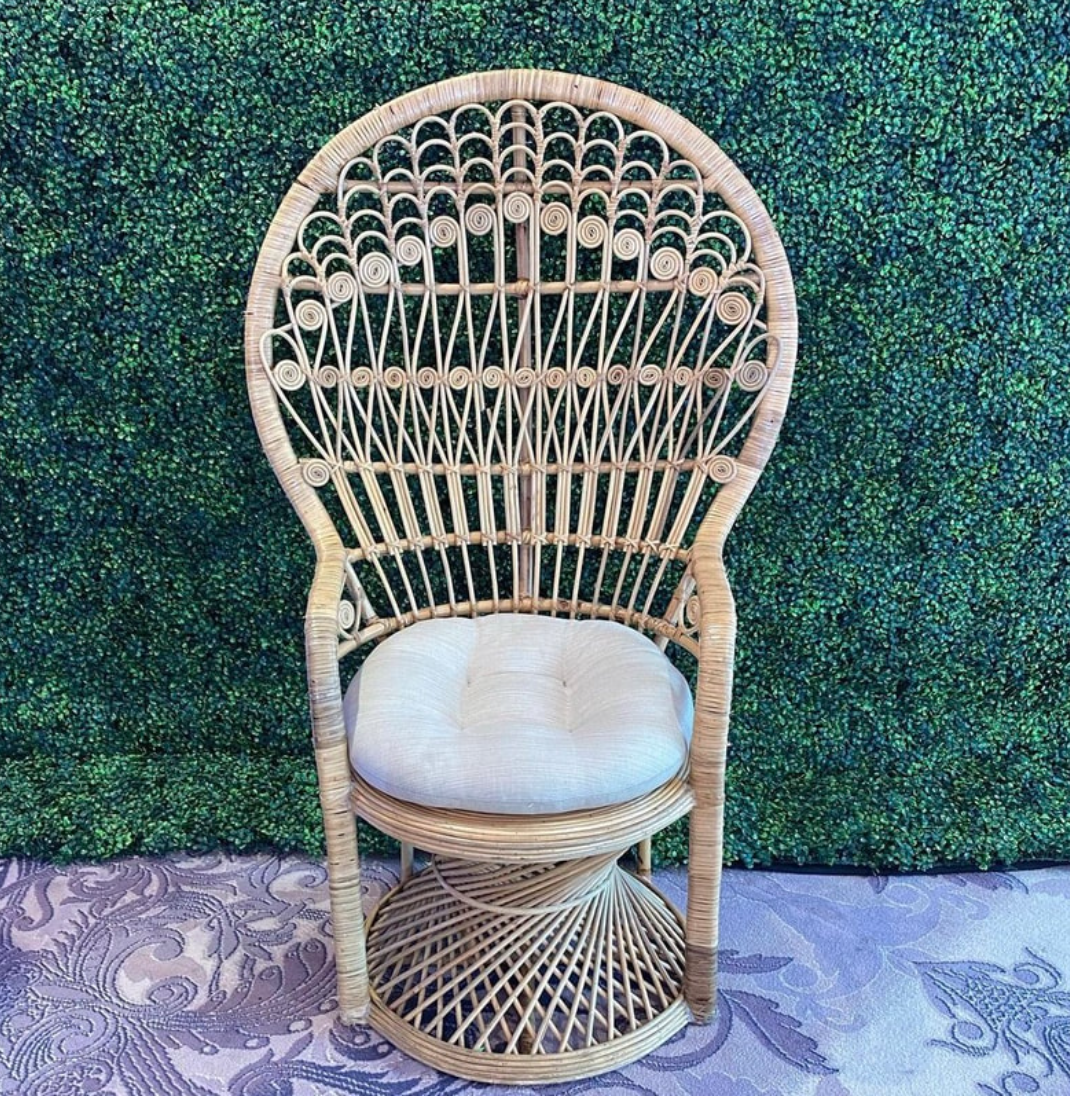 Screen Shot 2024-03-09 at 3.53.16 PM.png