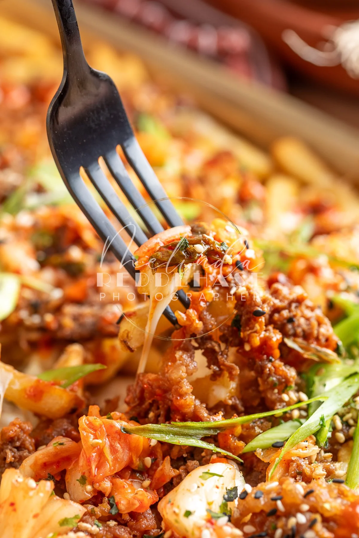 Loaded Fries- Korean Bulgogi-LRWM-21.jpg
