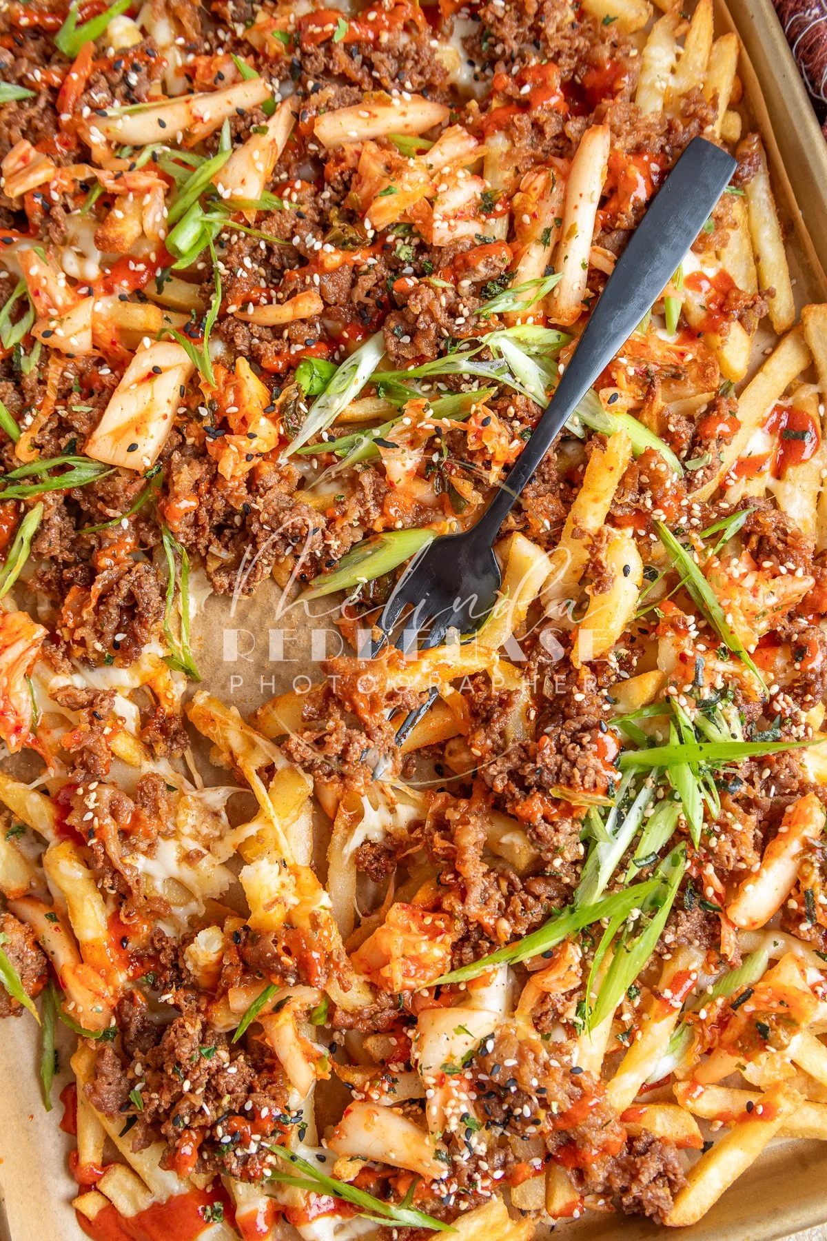Loaded Fries- Korean Bulgogi-LRWM-23.jpg
