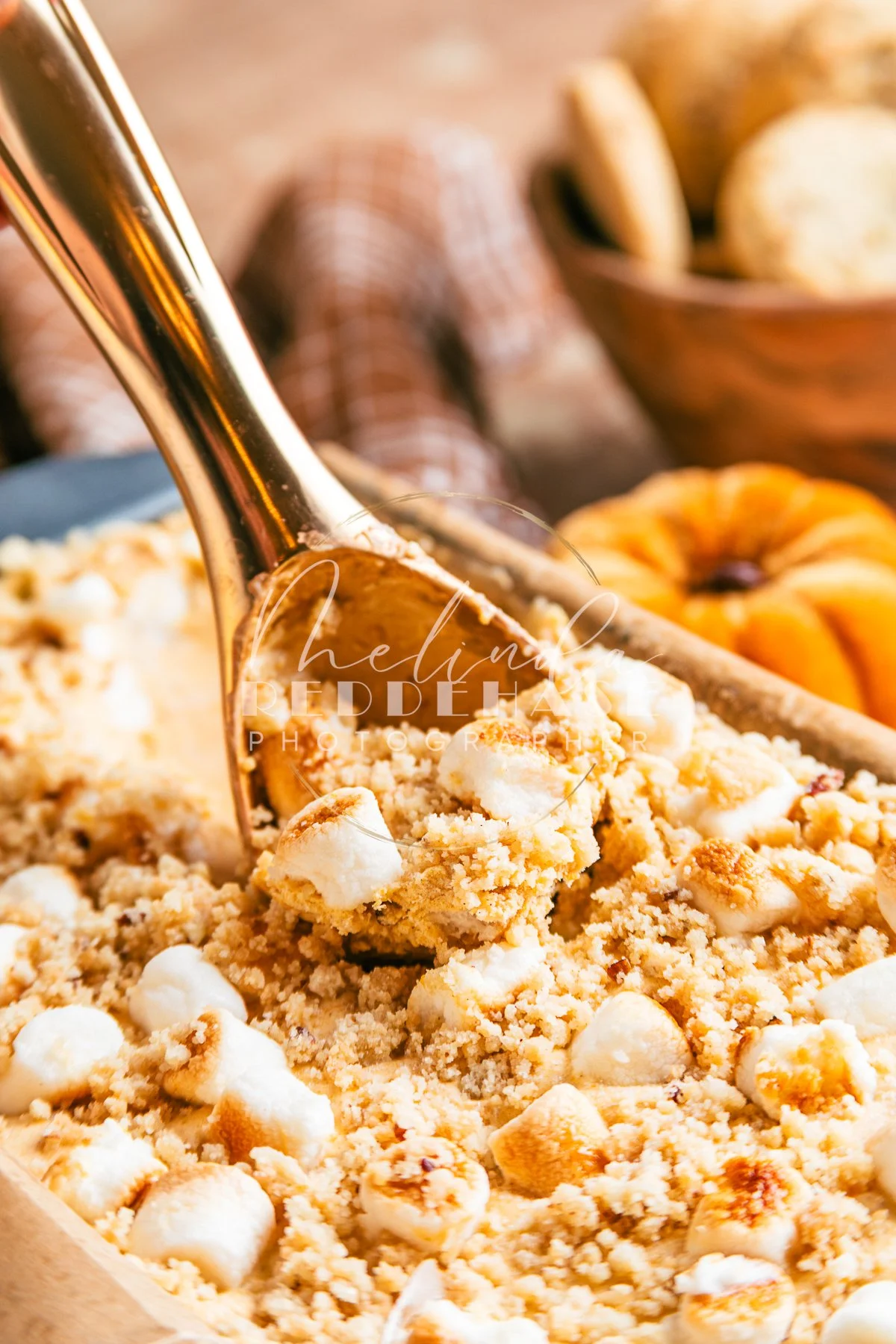 No Churn Toasted Marshmallow Pumpkin Pie Ice Cream-LRWM-21.jpg