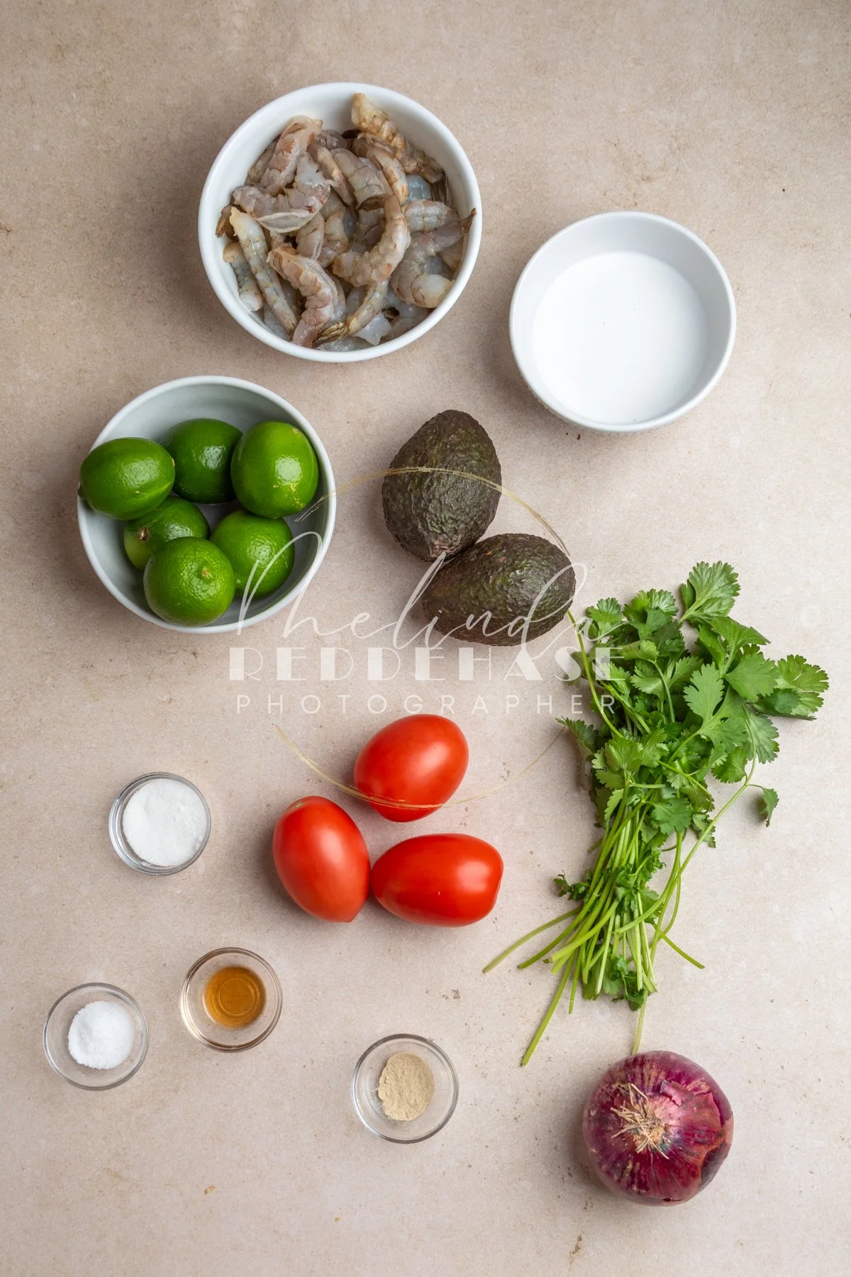 Shrimp Ceviche-LRWM-1.jpg