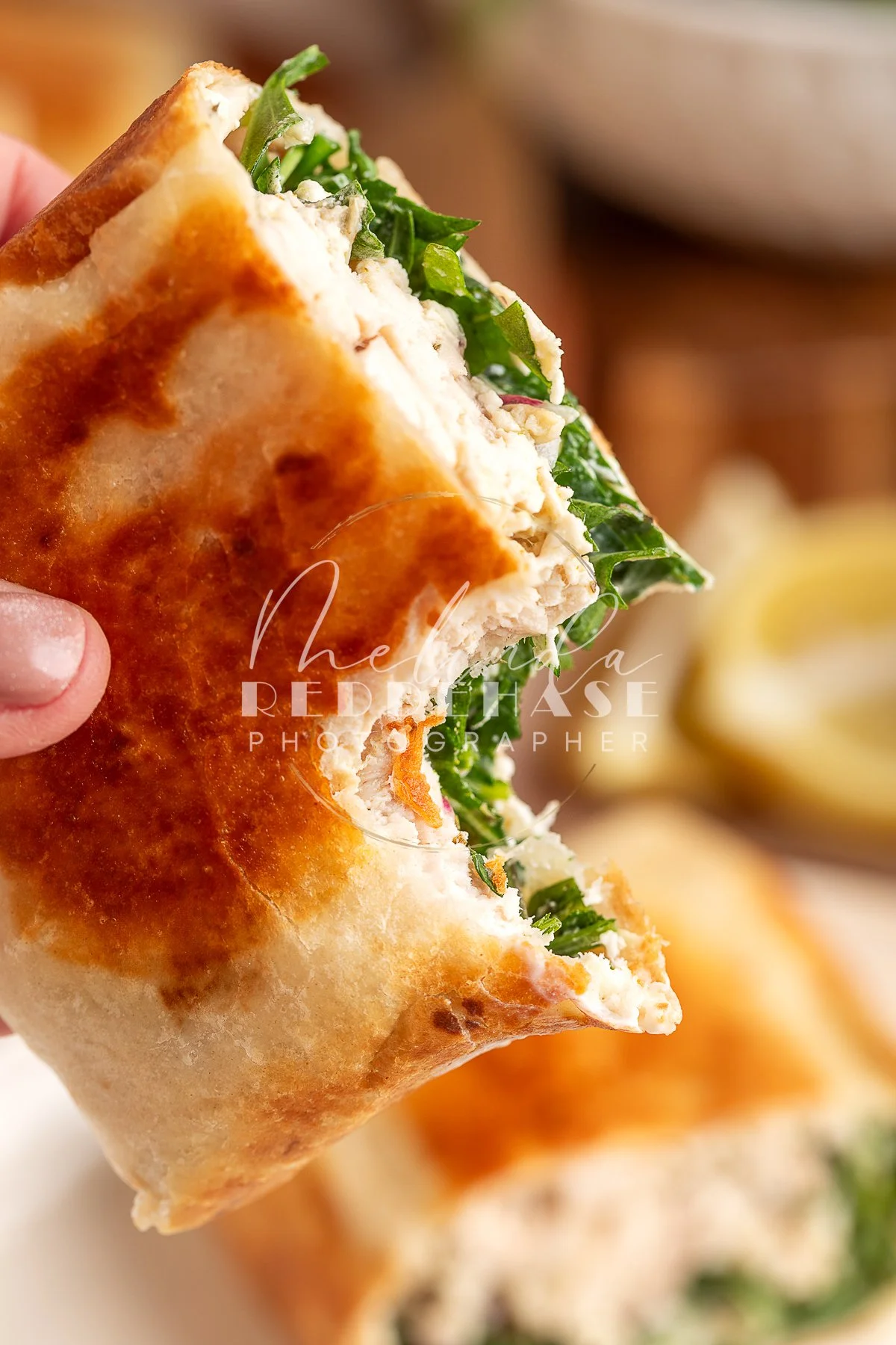 Pesto Chicken Wrap Lemon Garlic Yogurt Dip - LRWM-44.jpg