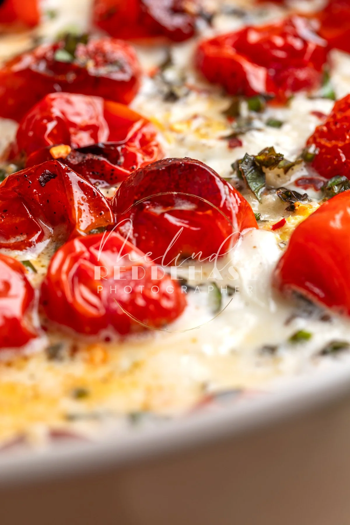 Roasted Tomato Burrata Dip- LRWM-27.jpg