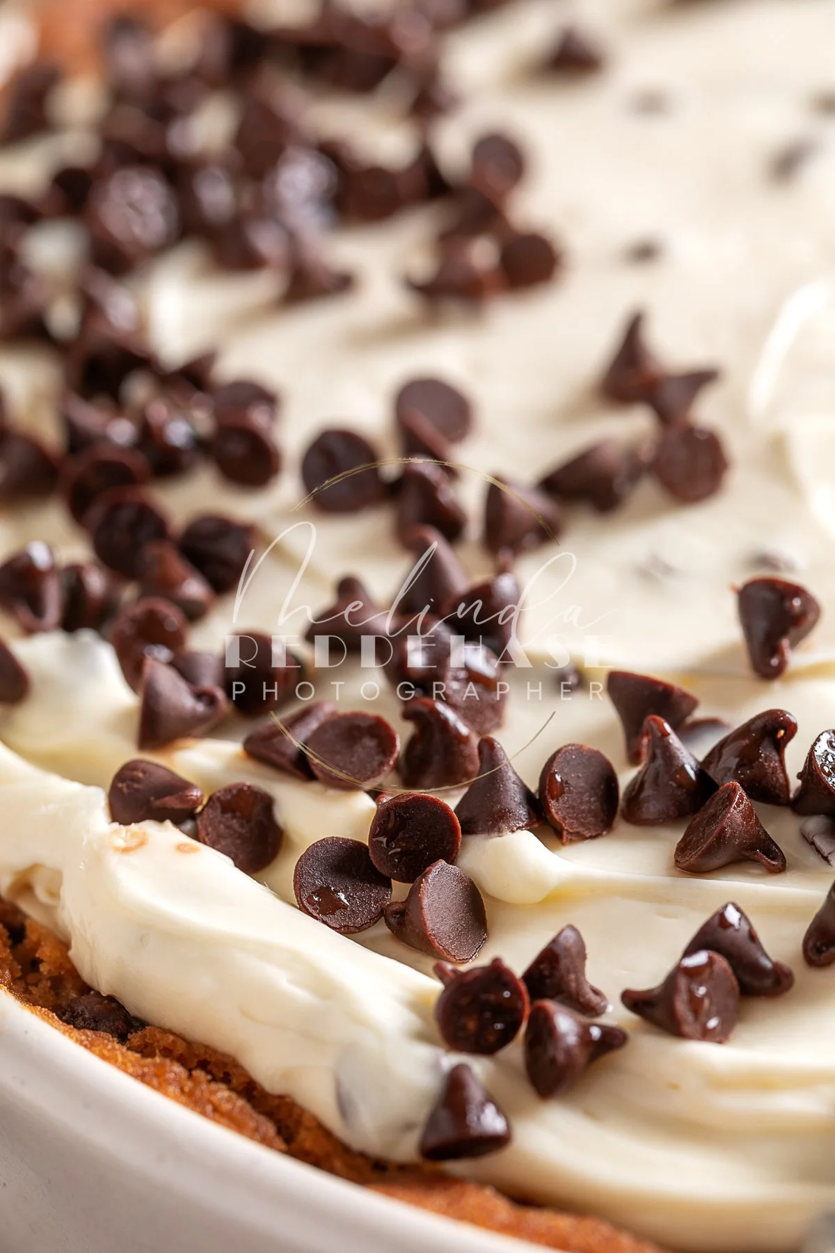 No Bake Cheesecake with Cookie Dough Crust- LRWM-14.jpg