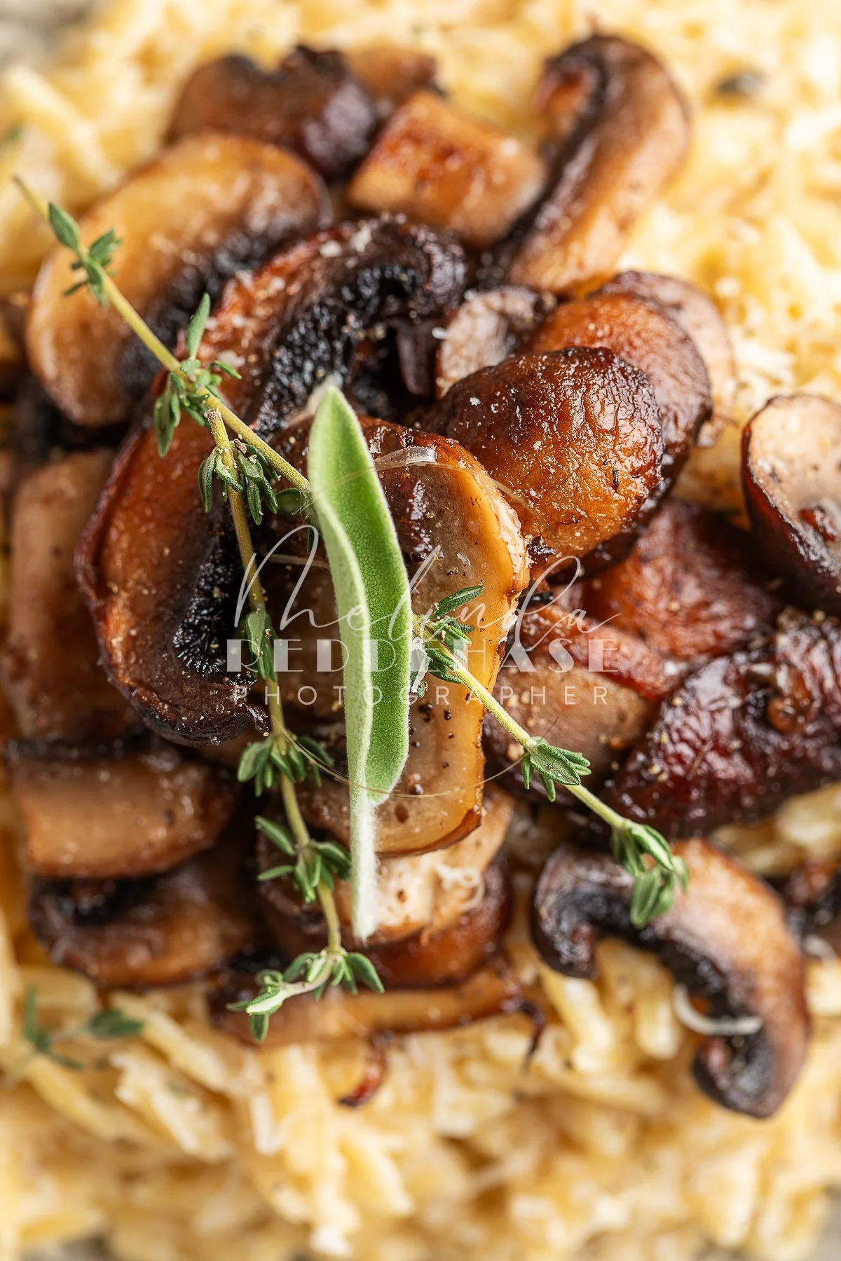 Roasted Mushroom Orzo Pasta with Garlic Cream Sauce- LRWM-13.jpg