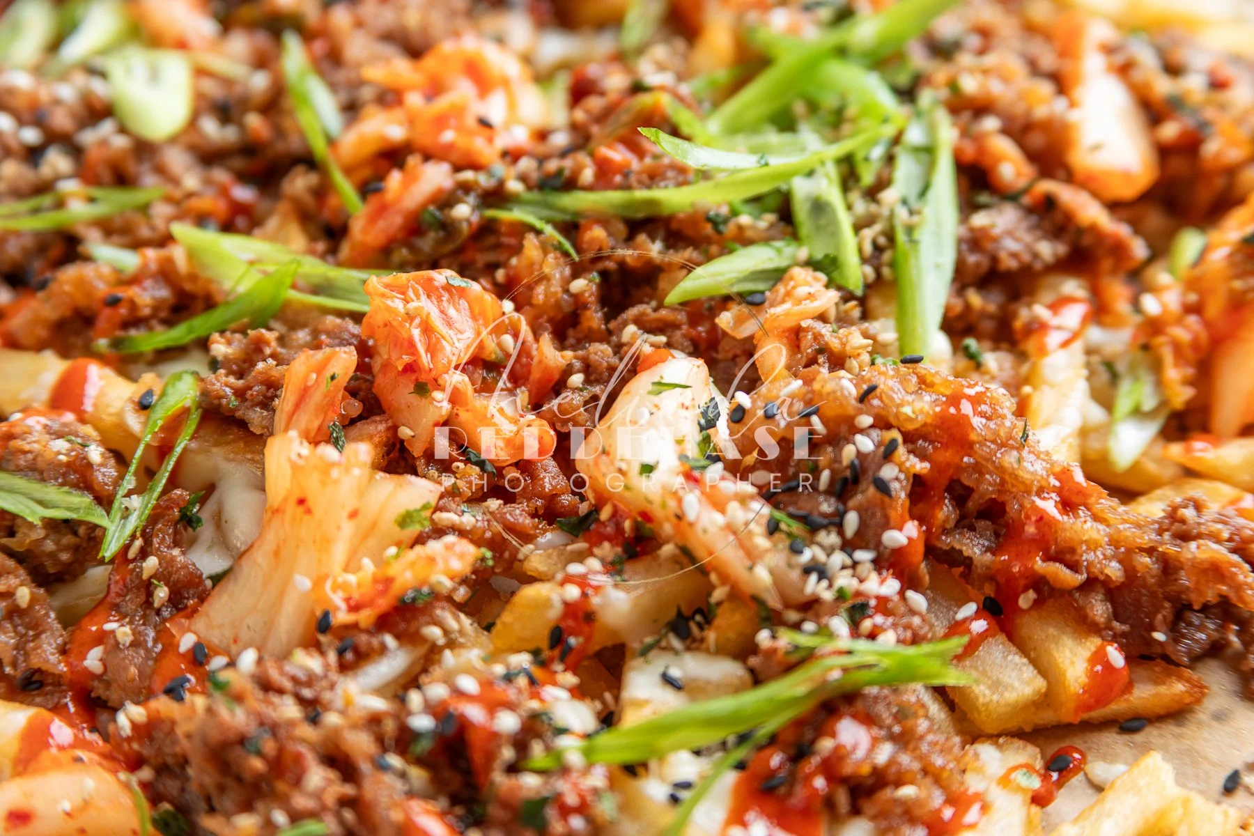 Loaded Fries- Korean Bulgogi-LRWM-13.jpg