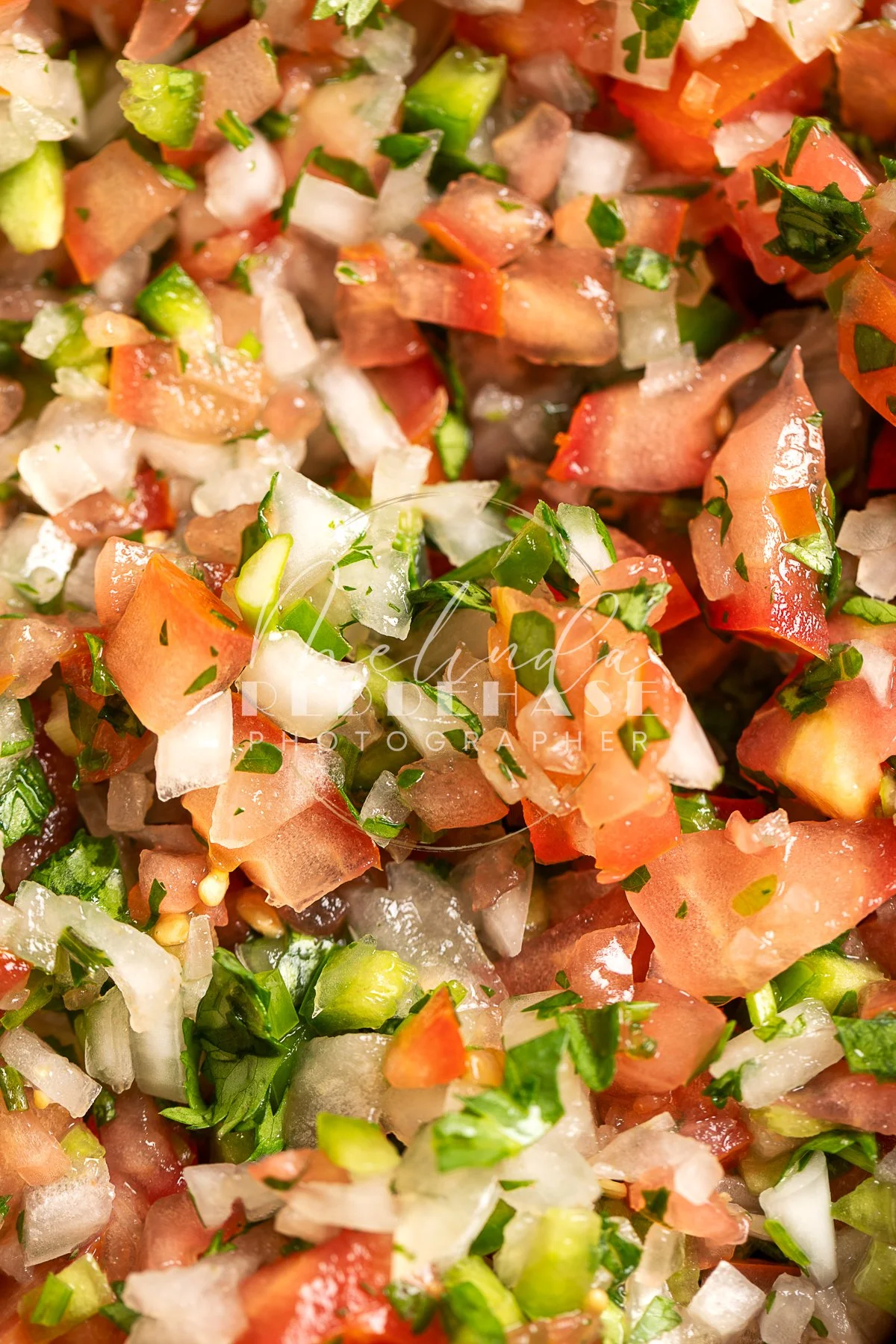Pico De Gallo- LRWM-18.jpg