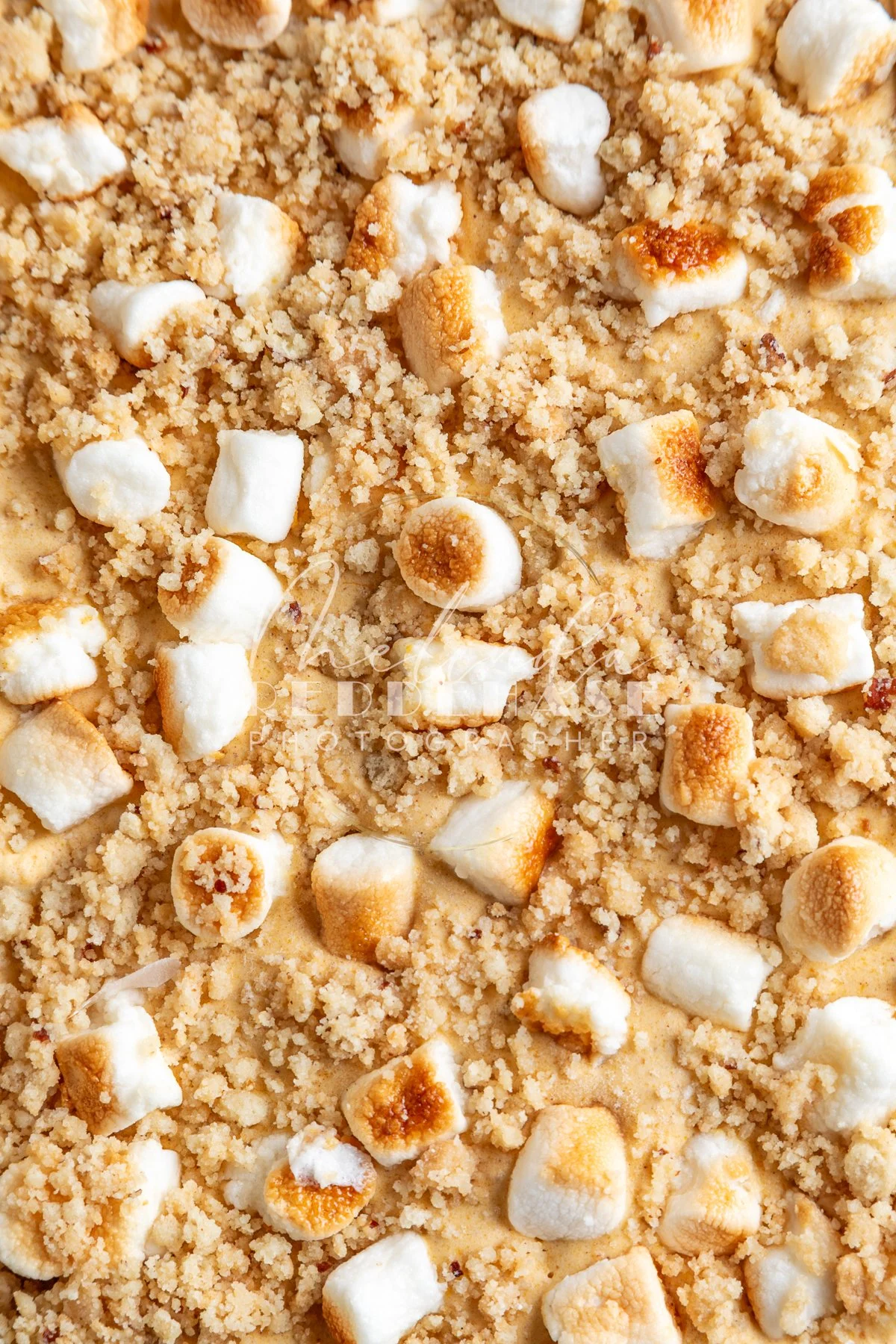 No Churn Toasted Marshmallow Pumpkin Pie Ice Cream-LRWM-13.jpg