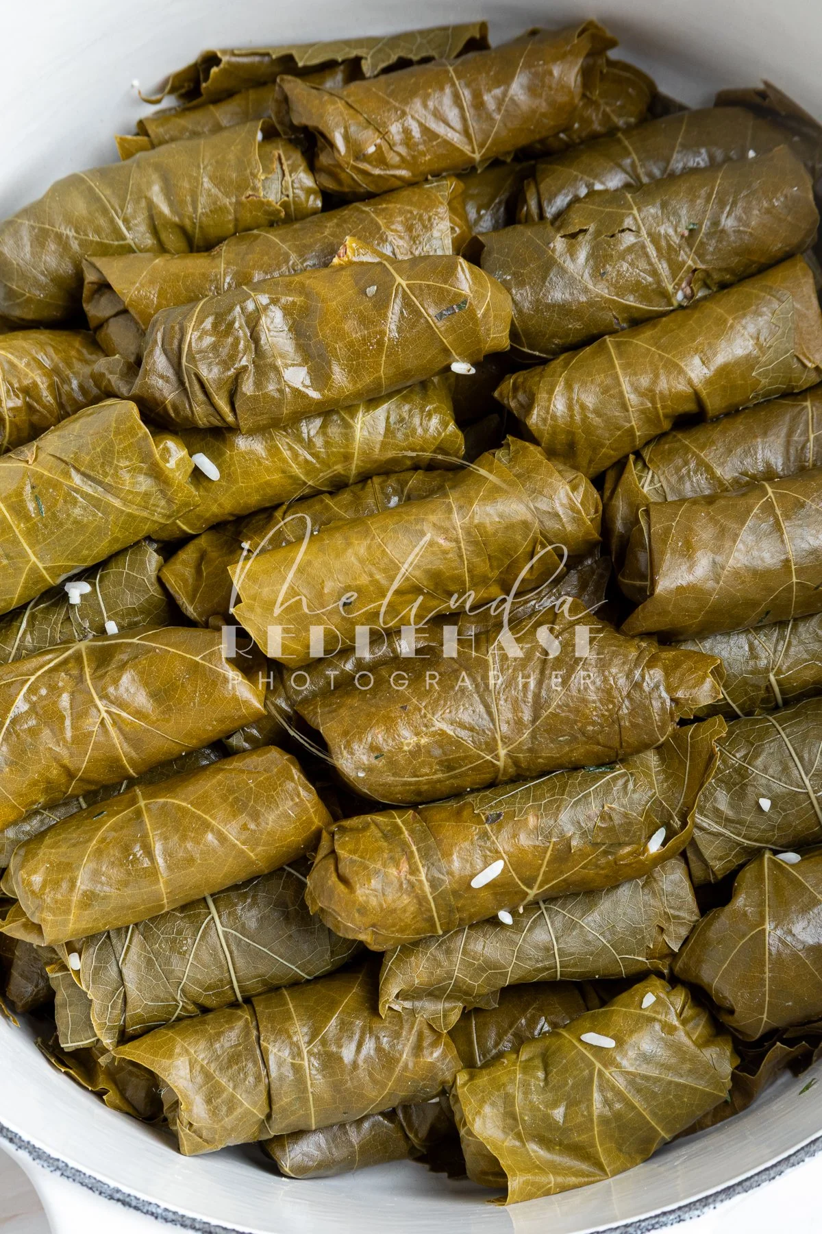 Domlades with Lamb- LRWM-13.jpg
