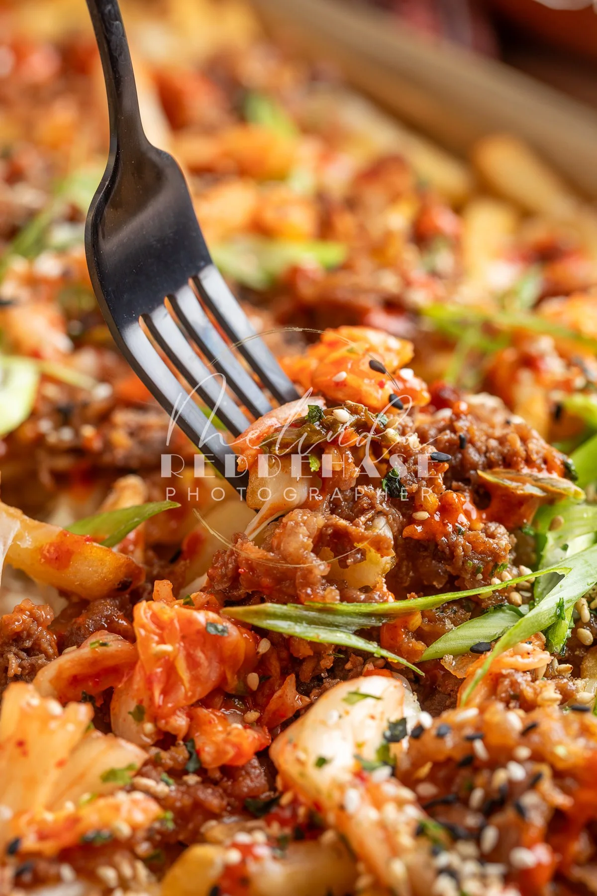 Loaded Fries- Korean Bulgogi-LRWM-20.jpg