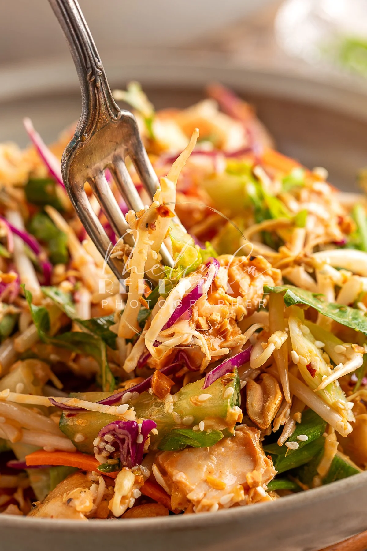 Bang Bang Chicken Salad- LRWM-32.jpg