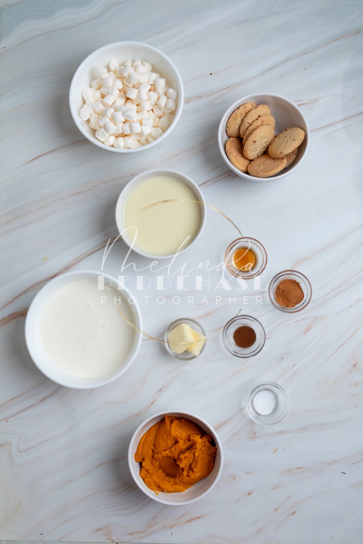 No Churn Toasted Marshmallow Pumpkin Pie Ice Cream-LRWM-1.jpg
