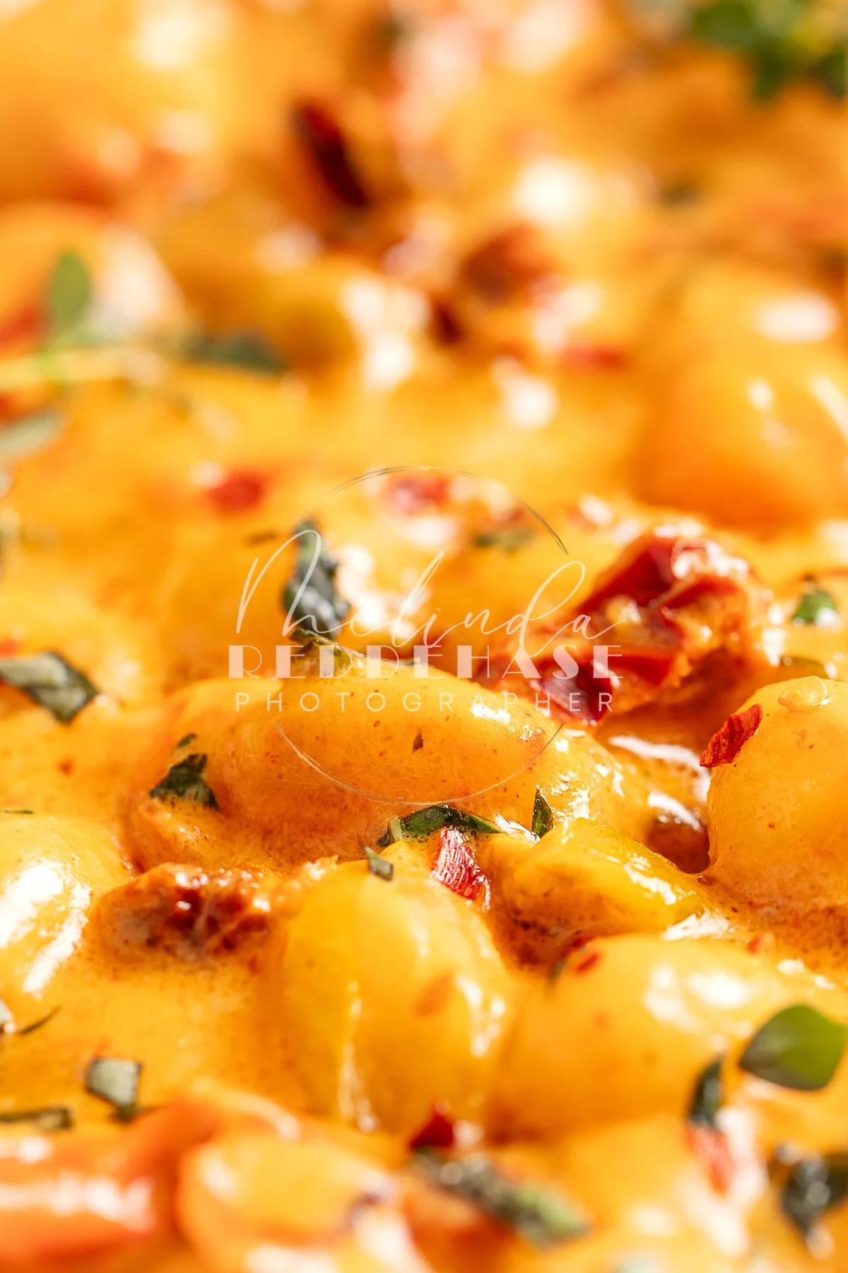 Creamy Tuscan Gnocchi-LRWM-15.jpg
