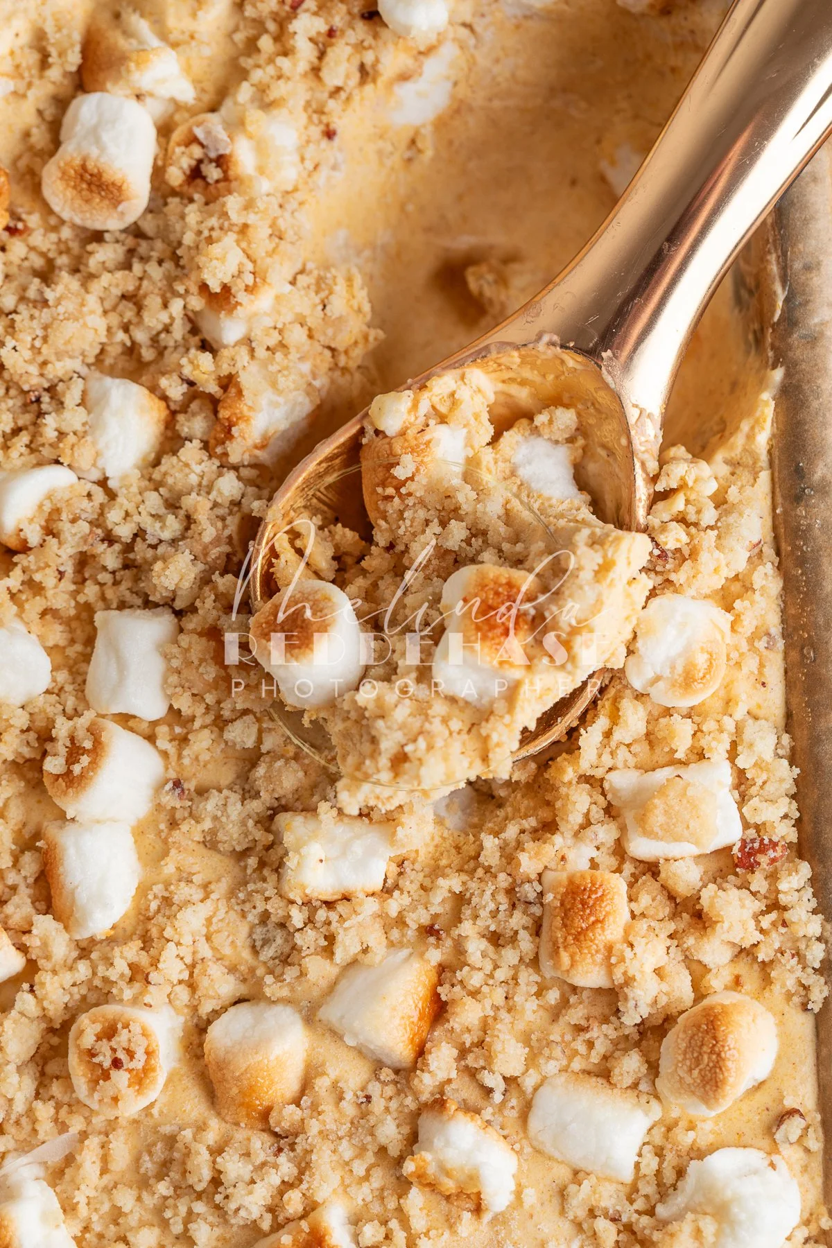 No Churn Toasted Marshmallow Pumpkin Pie Ice Cream-LRWM-20.jpg