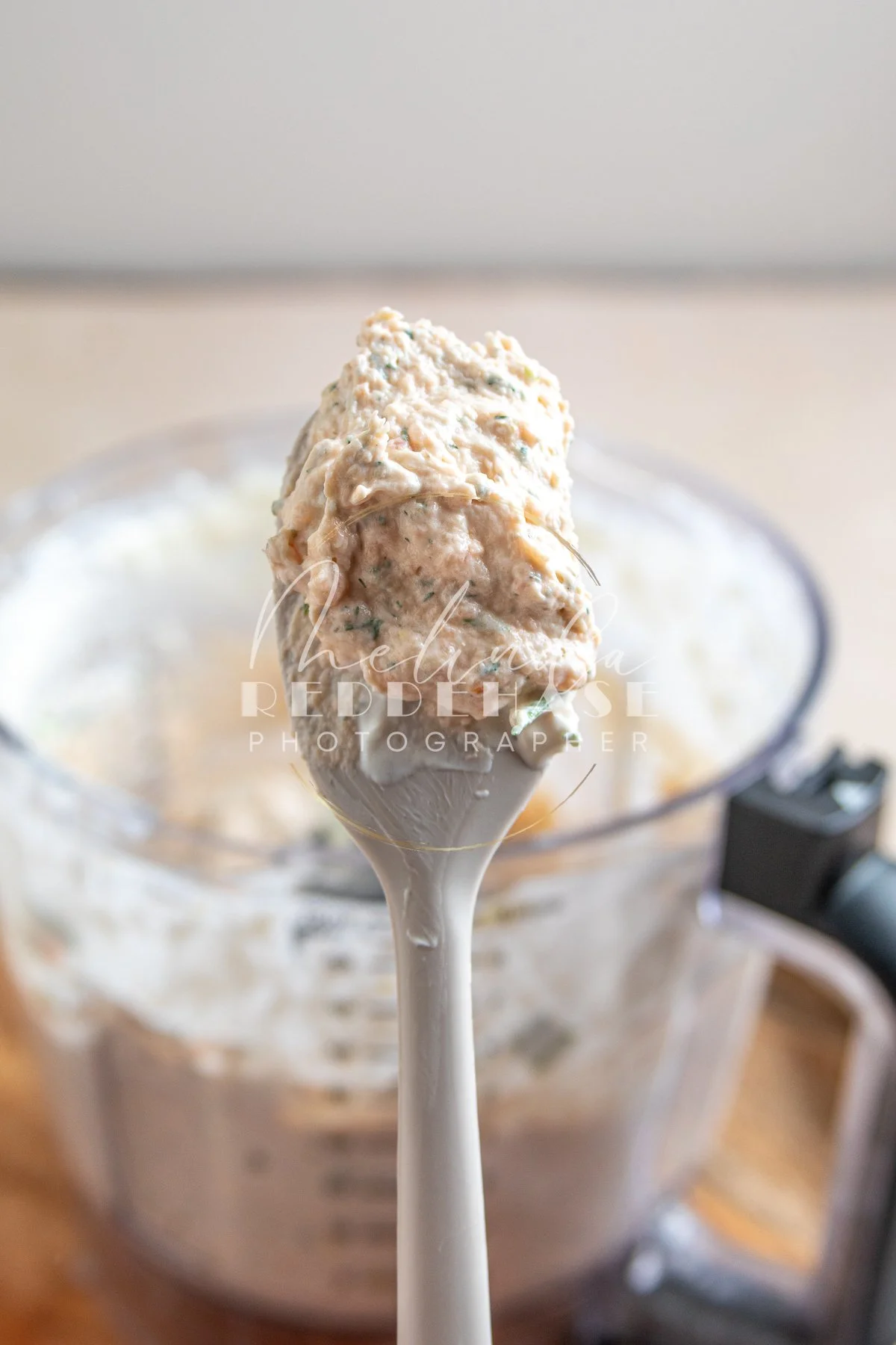 Smoked Salmon Dip and Bagel Spread- LRWM-6.jpg